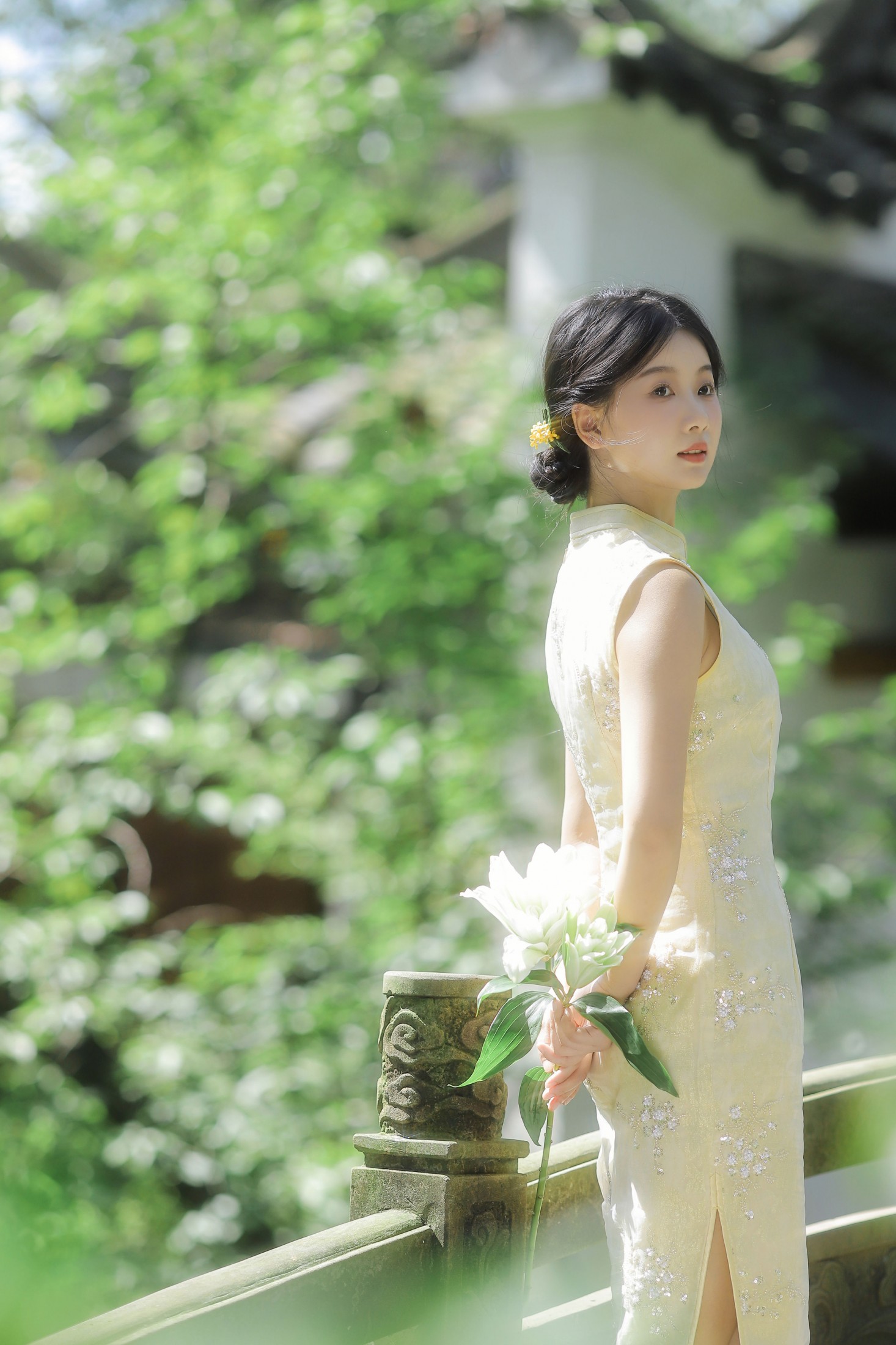 摘星星给你呀 - 《欲买桂花同载酒》[45P] 插图2