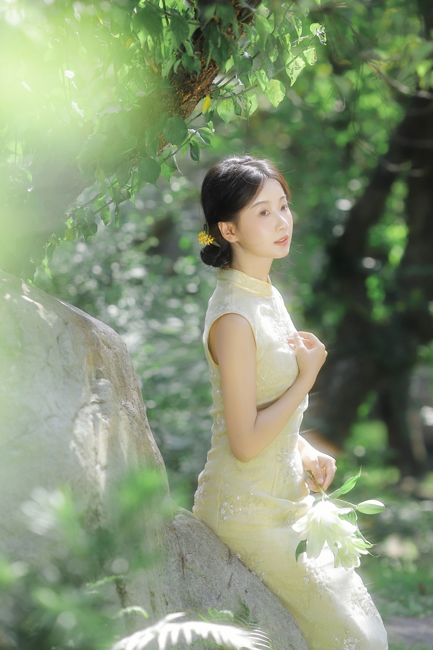 摘星星给你呀 - 《欲买桂花同载酒》[45P] 插图3