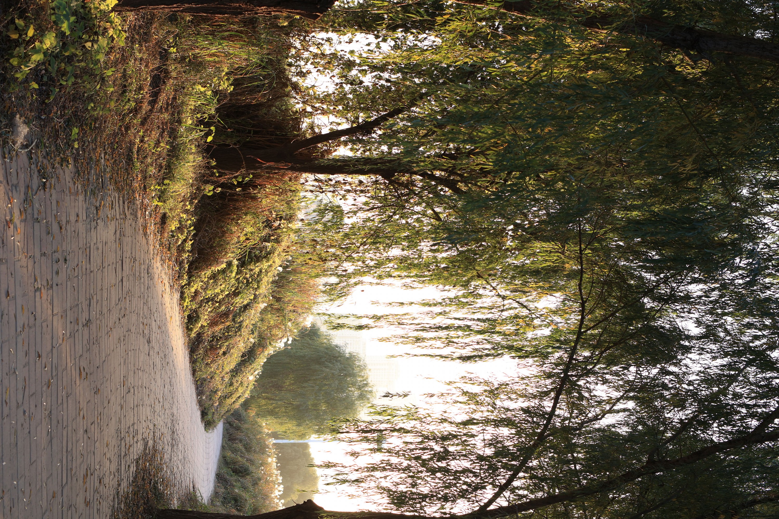 《光影随手拍》[9P] 插图2