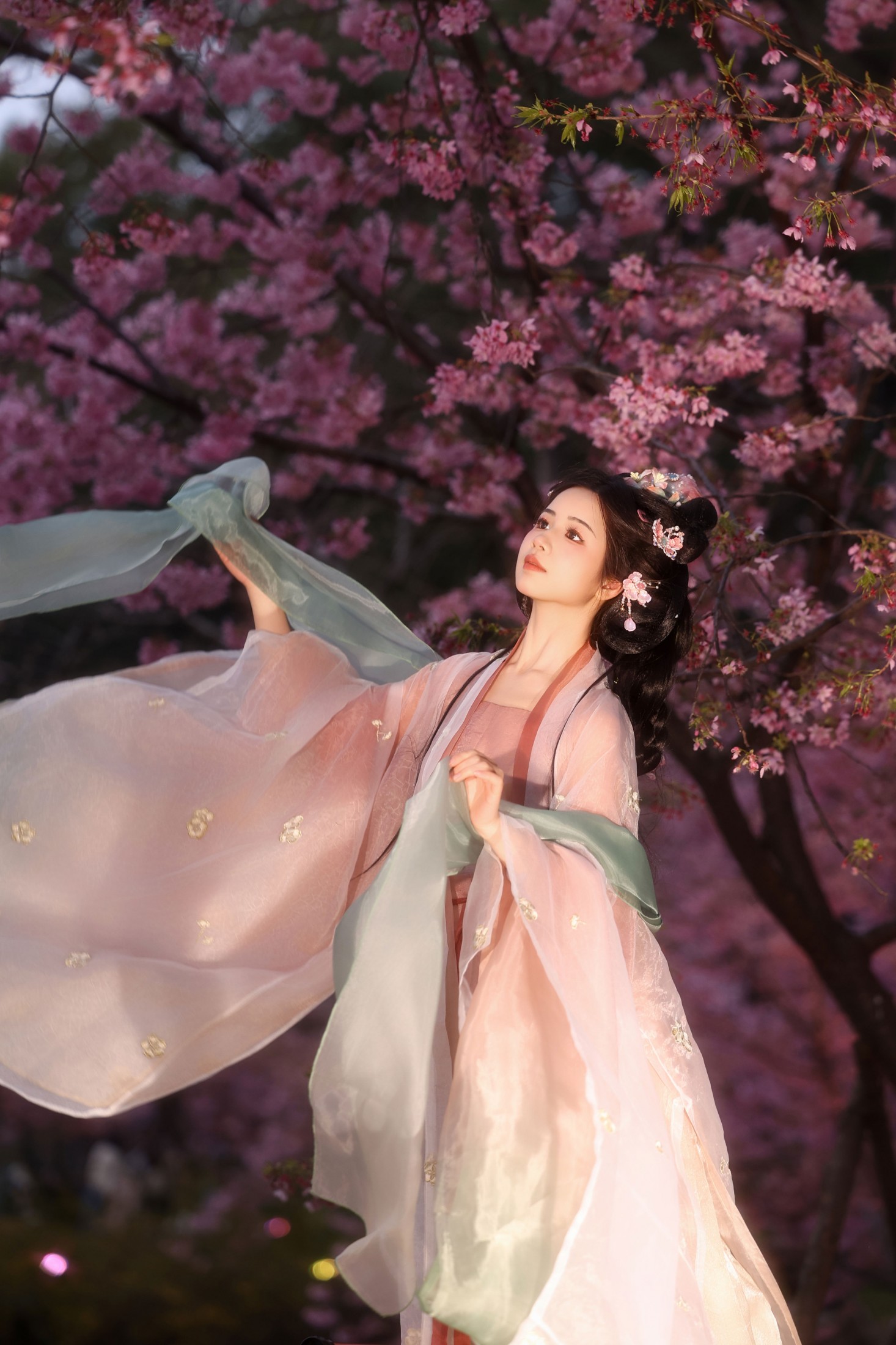 小杜同学 - 《夜樱语》[14P]-66COS