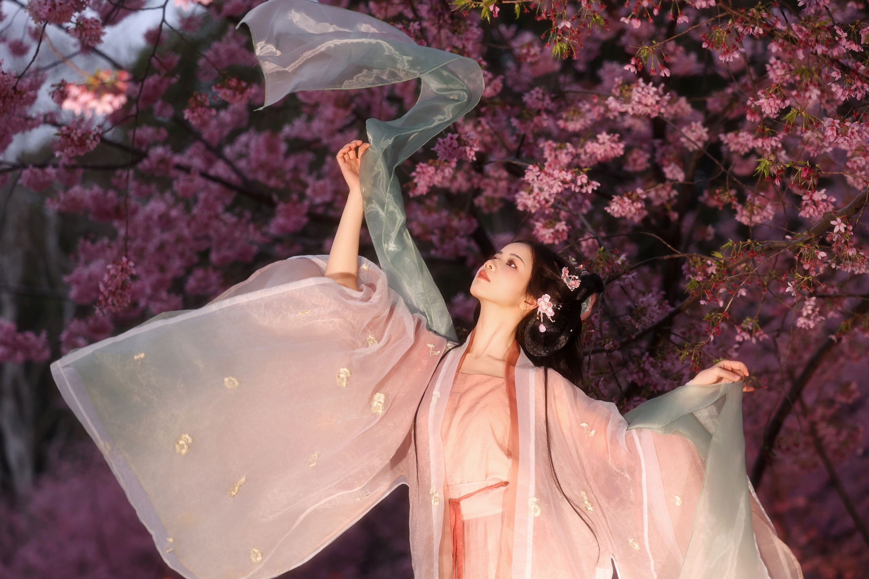 小杜同学 - 《夜樱语》[14P] 插图2