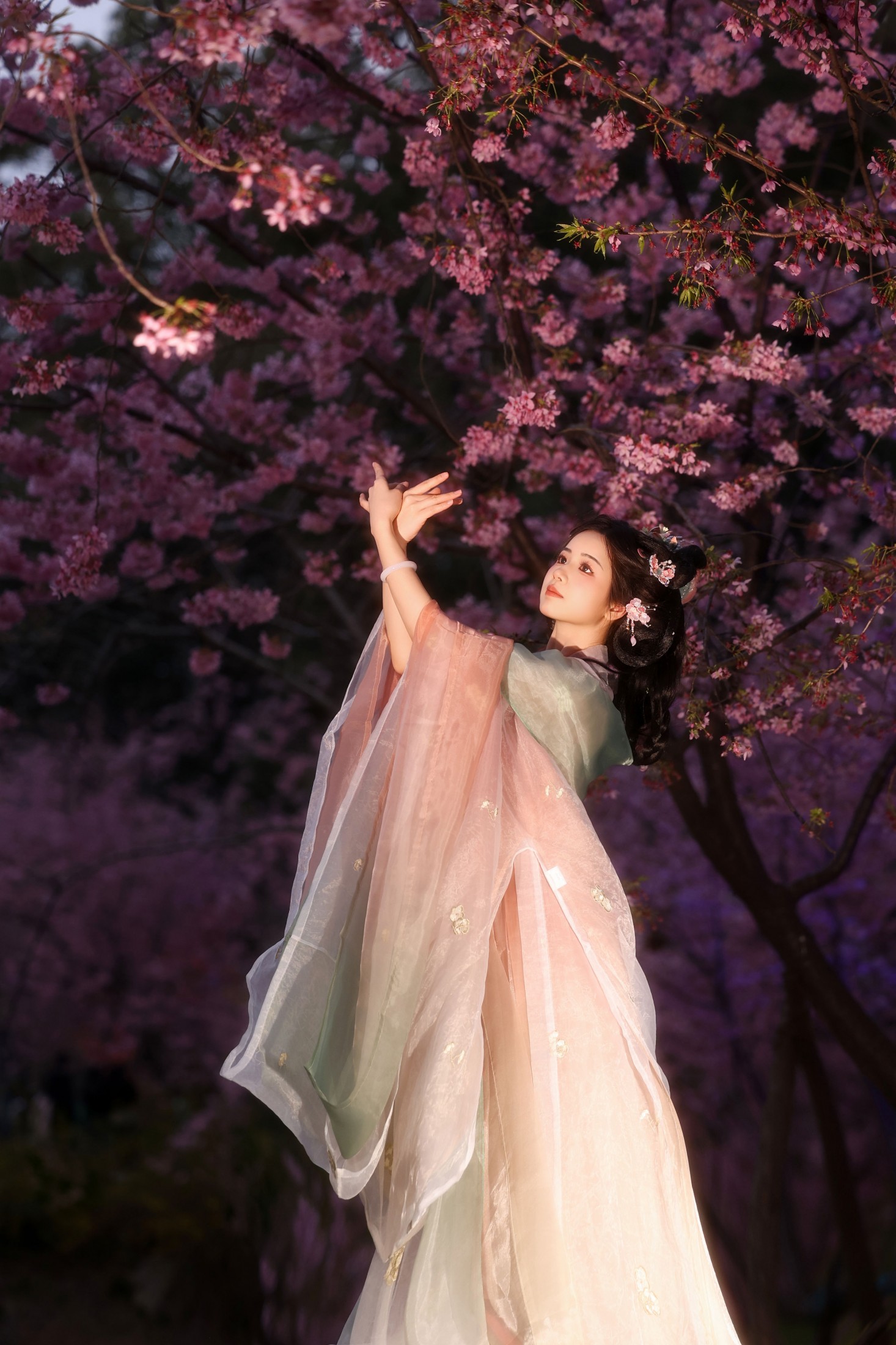 小杜同学 - 《夜樱语》[14P] 插图4