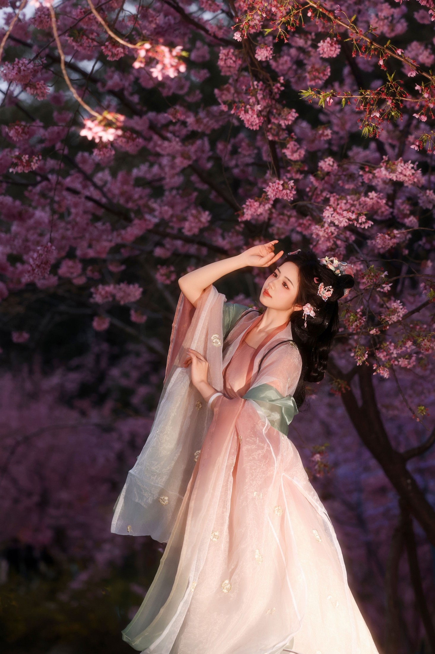 小杜同学 - 《夜樱语》[14P] 插图5