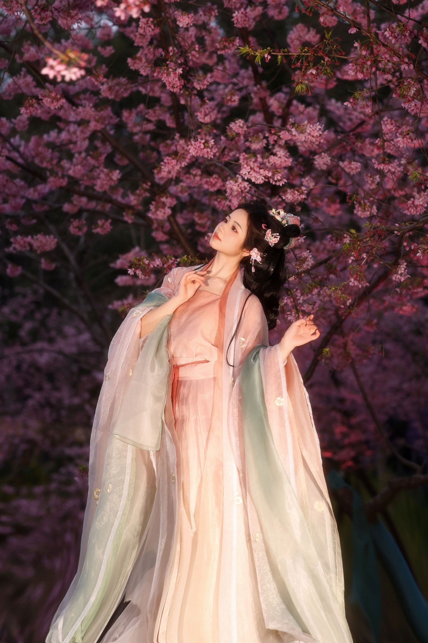 小杜同学 - 《夜樱语》[14P] 插图3