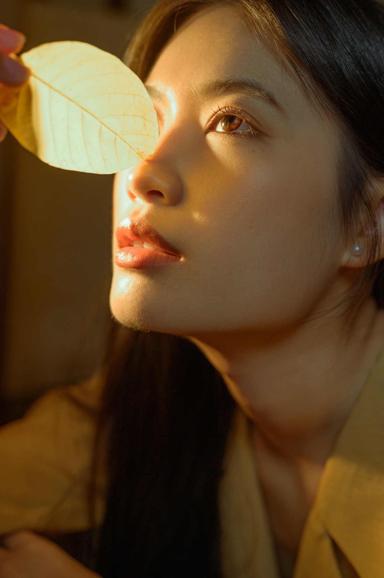 芦苇微微 - 《枯叶》[23P] 插图4