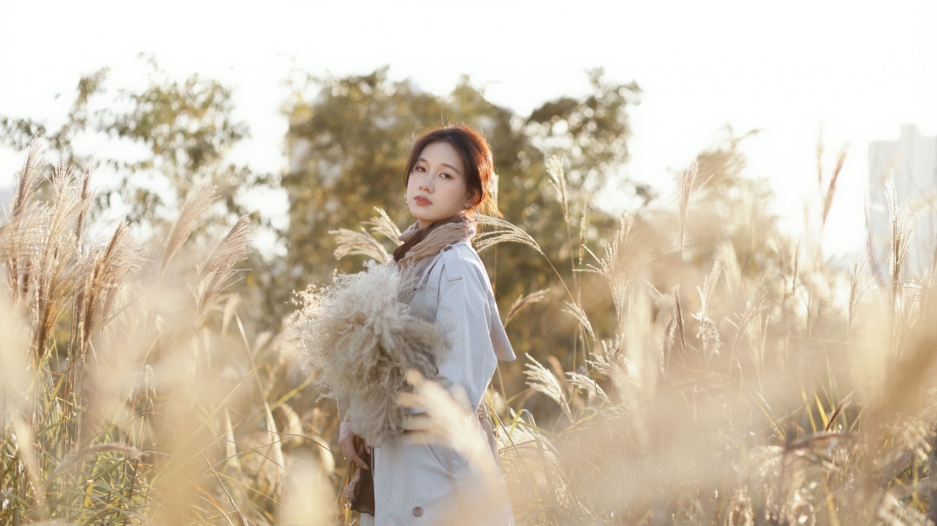 《芦苇荡的日落，是晚秋寄来的一封默片》[15P] 插图5