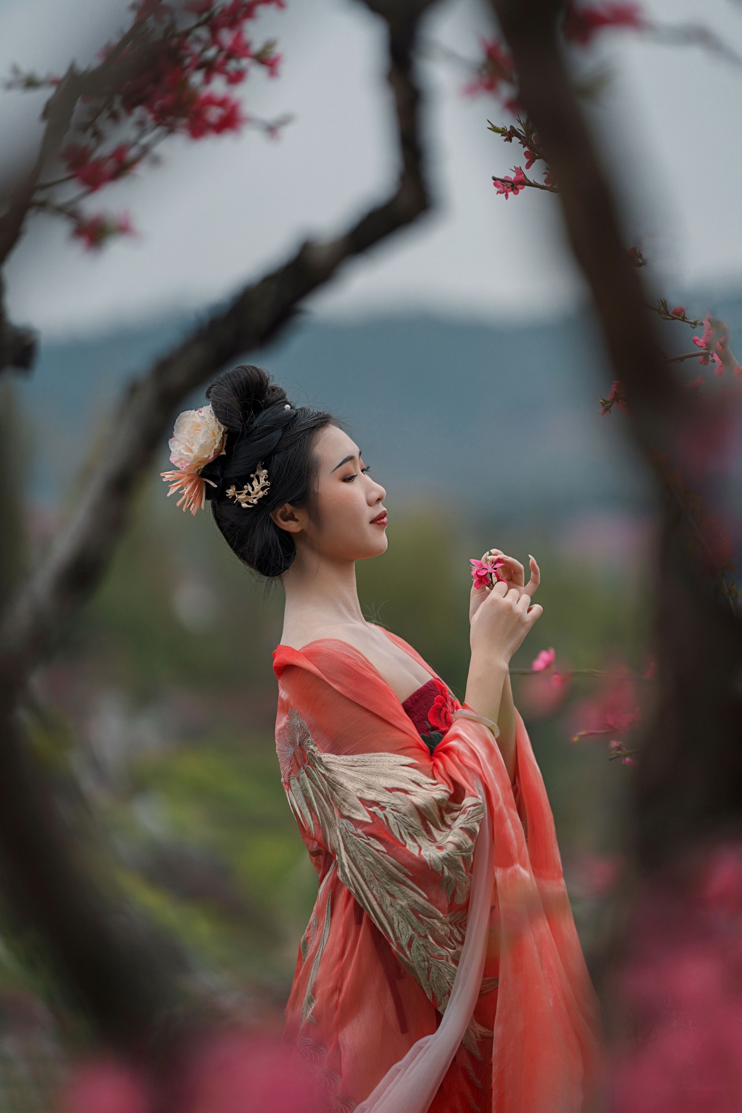 柒茶 - 《三月艳阳春》[29P] 插图5