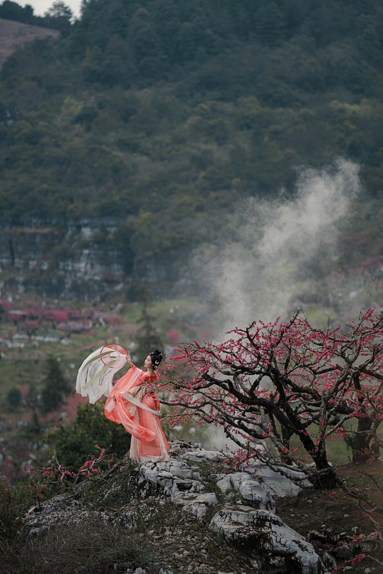 柒茶 - 《三月艳阳春》[29P]-66COS