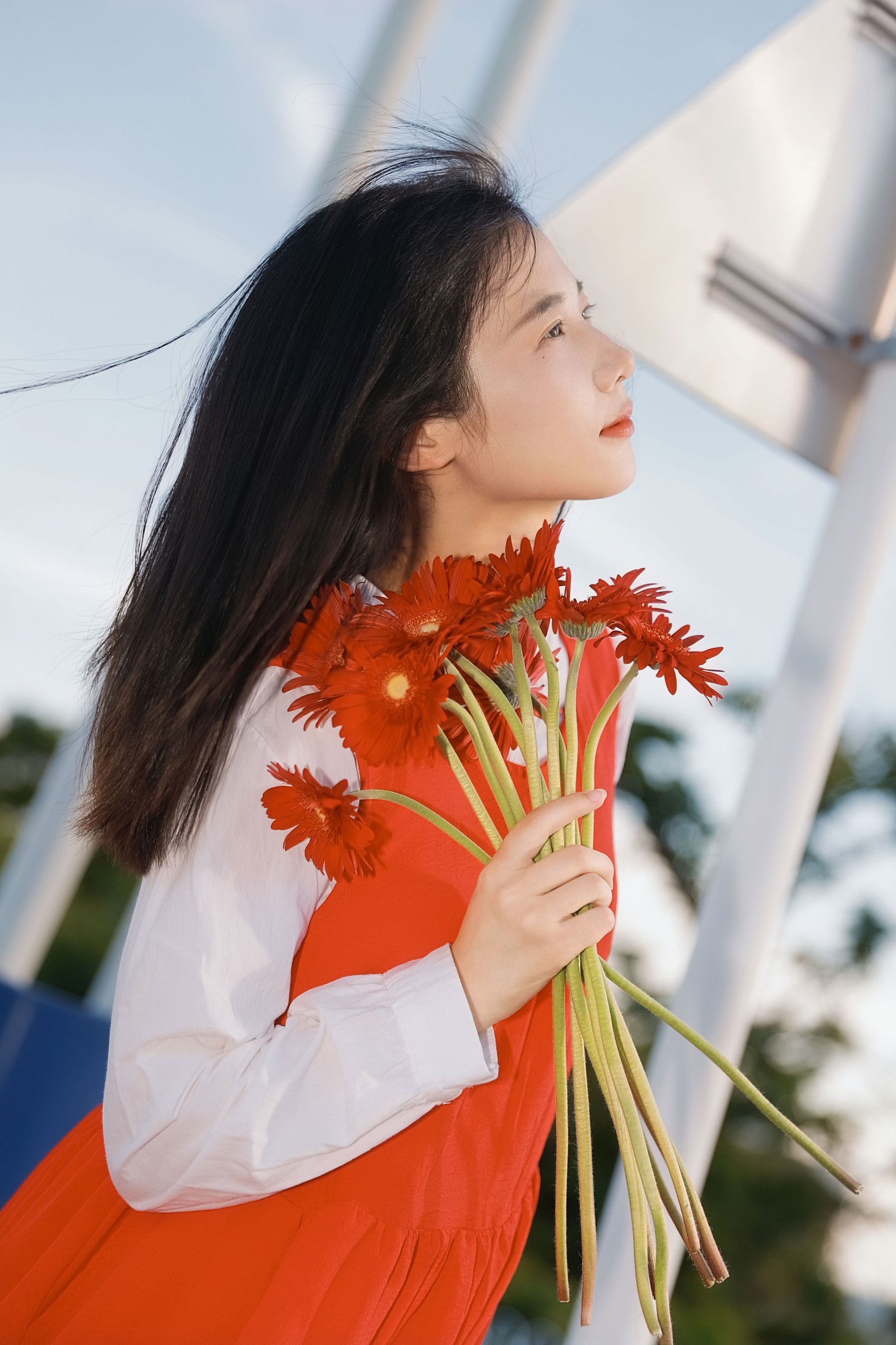 《非洲菊我热烈而平静》[15P] 插图2