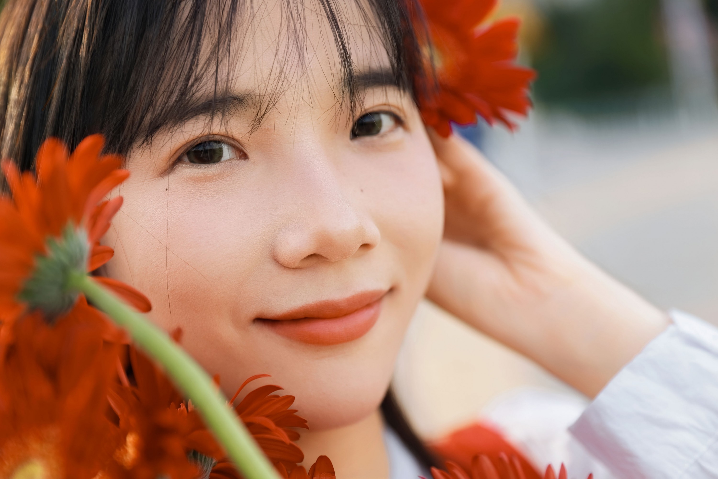 《非洲菊我热烈而平静》[15P] 插图5