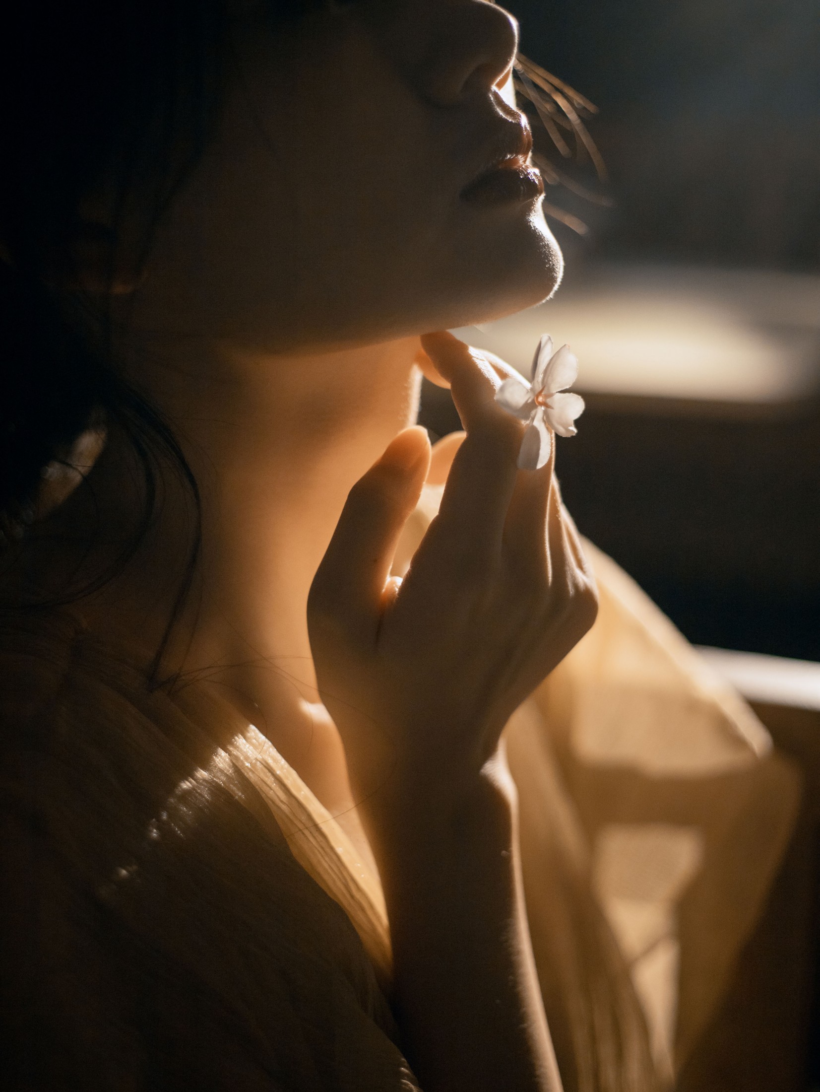 《夜樱》[11P] 插图4