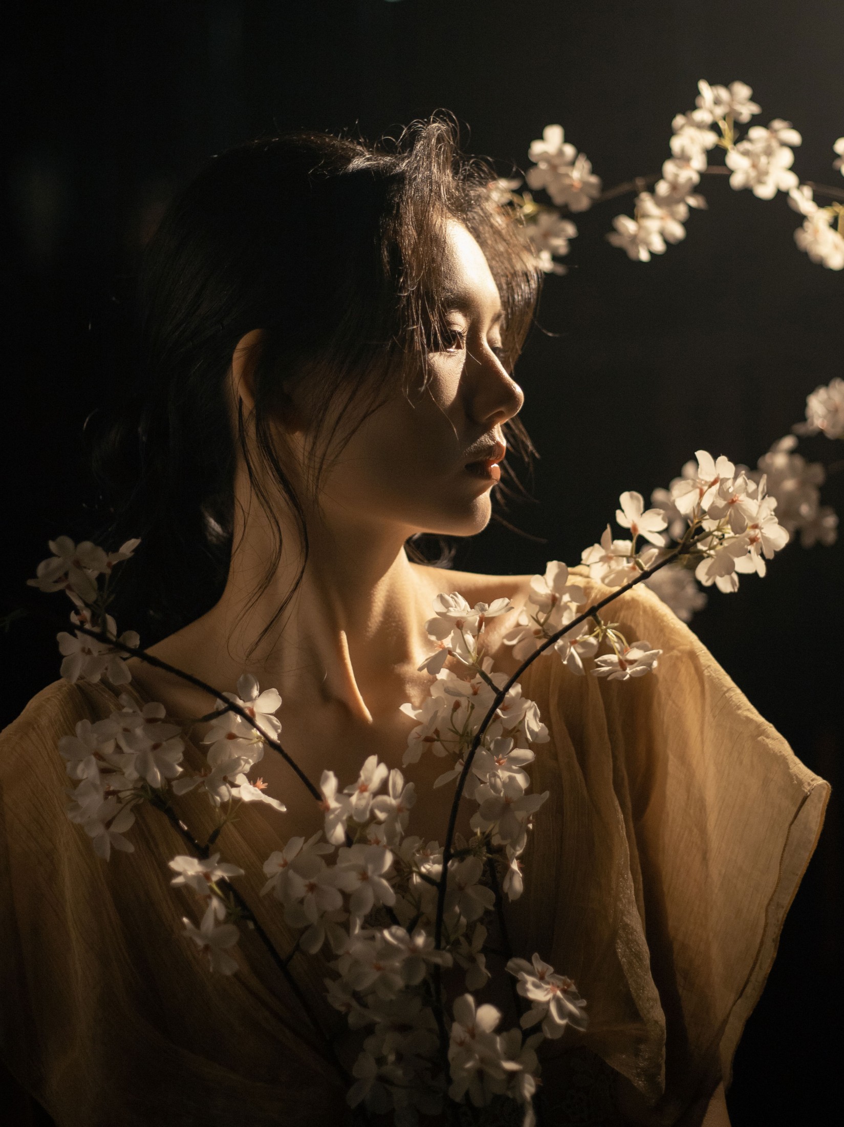 《夜樱》[11P] 插图5