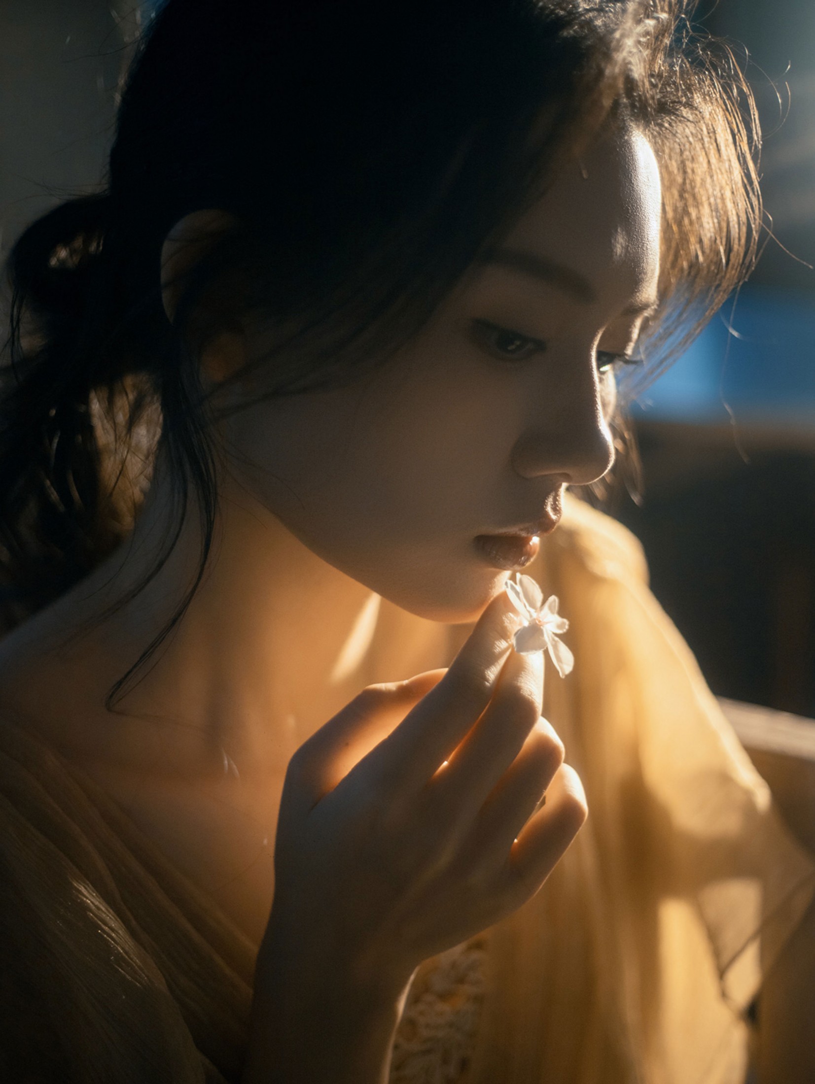 《夜樱》[11P] 插图2