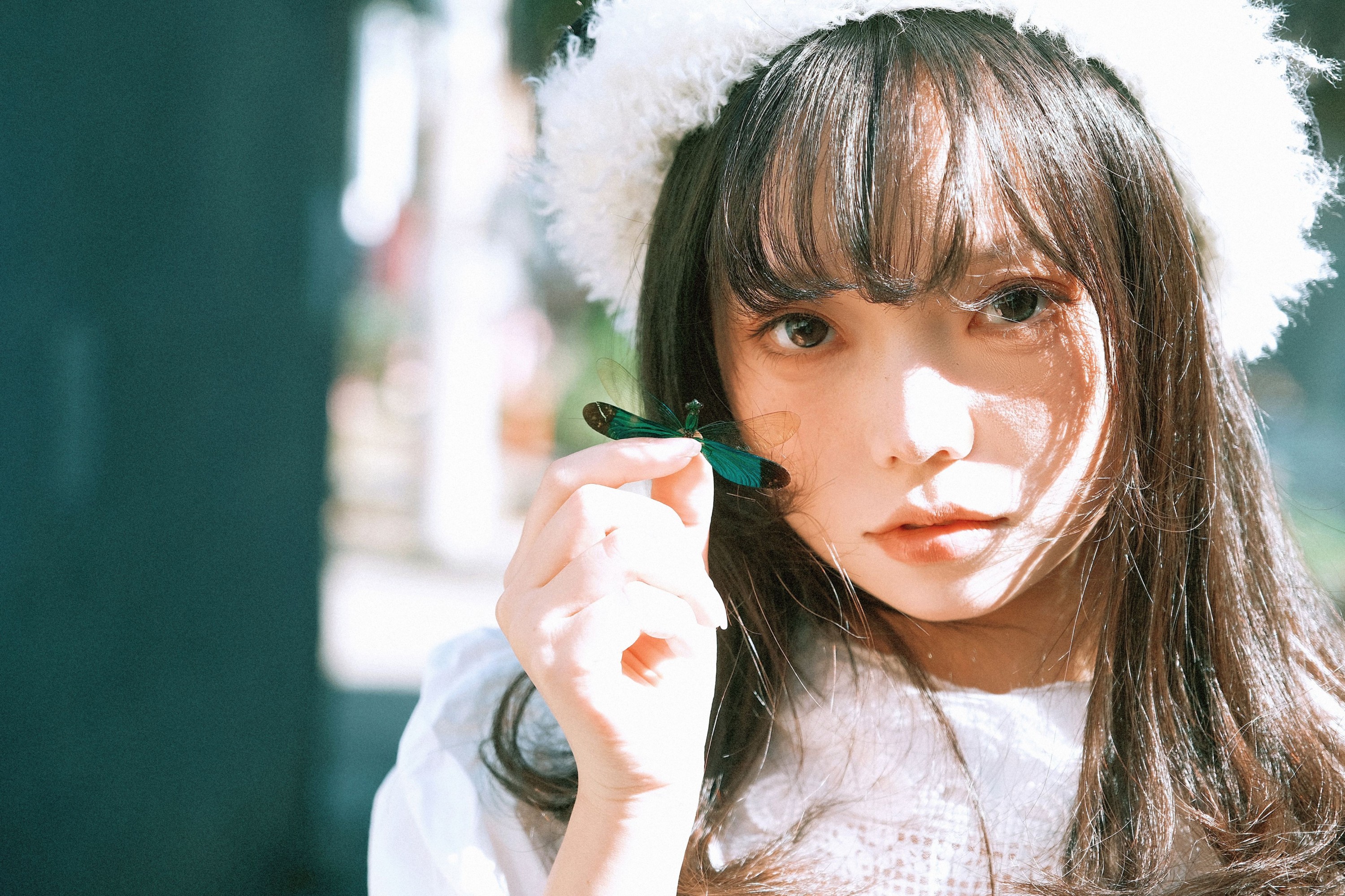 贝贝不睡觉 - 《蜻蜓》[14P] 插图5