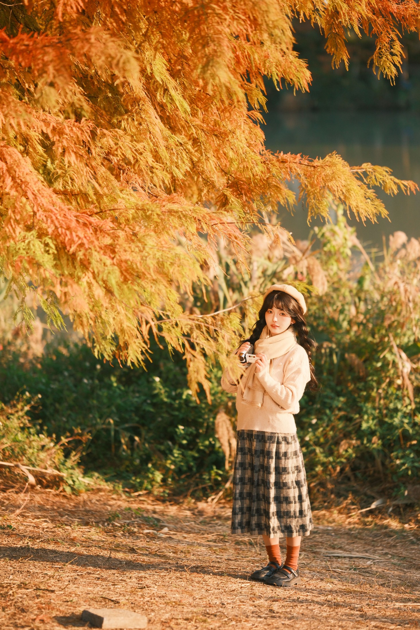 《红杉人像》[9P] 插图2