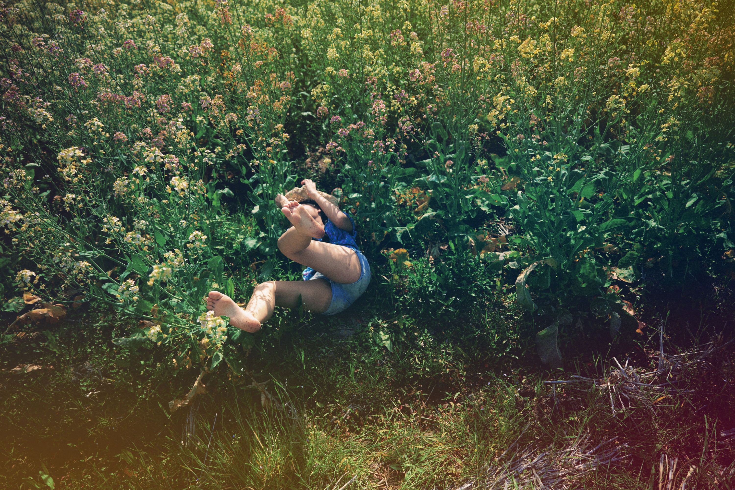 小鹿 - 《油菜花群里跳舞》[13P] 插图2