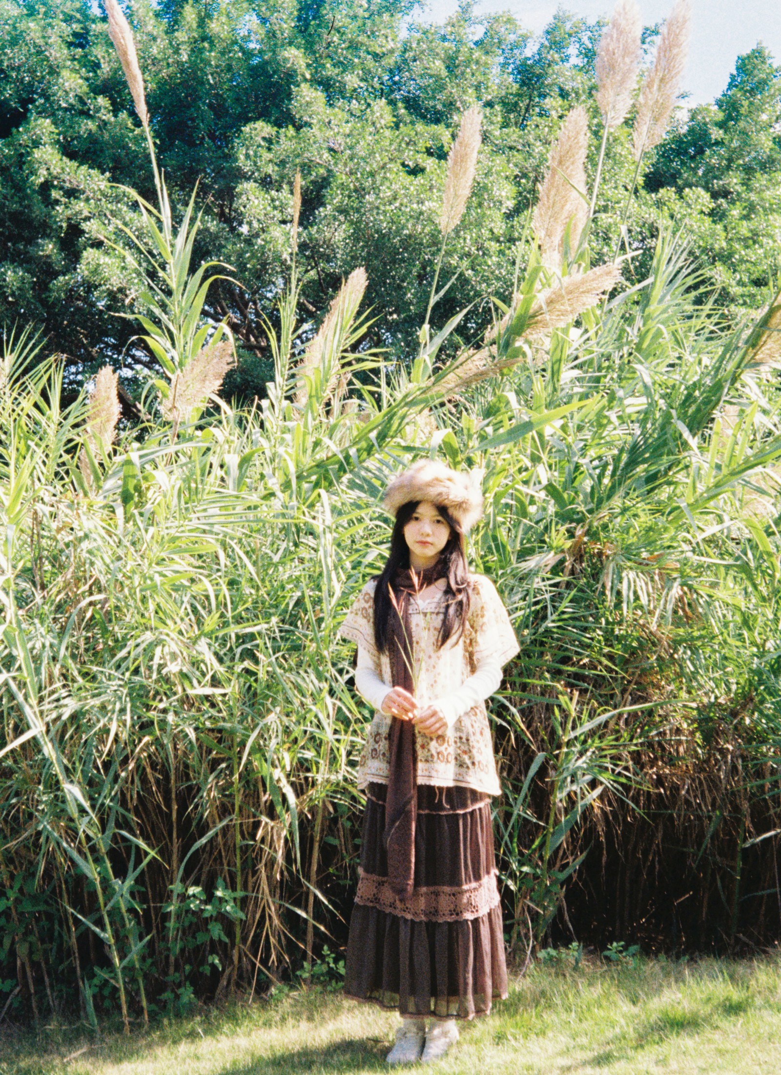 《树是秋日的脉搏》[31P]-66COS