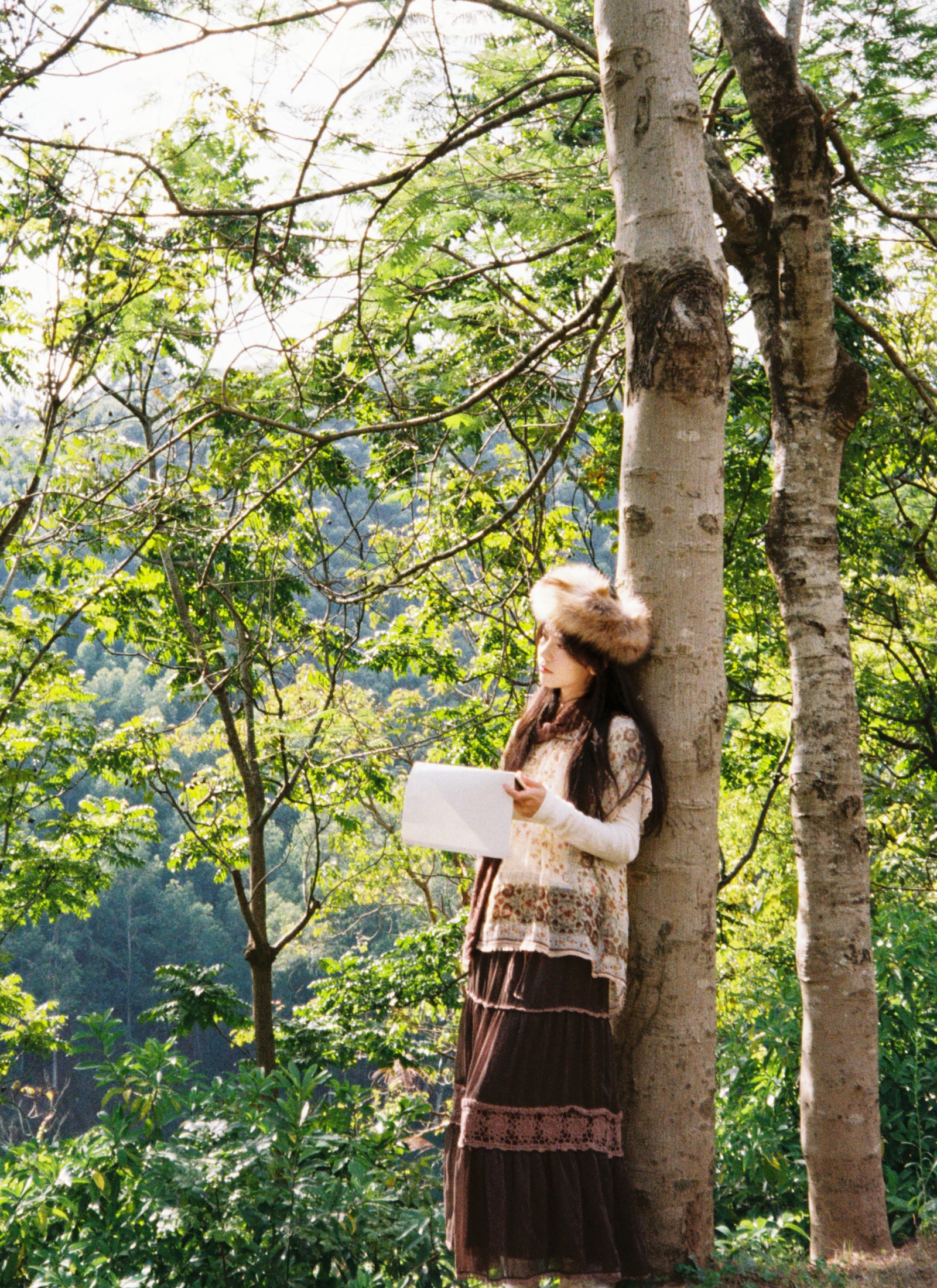 《树是秋日的脉搏》[31P] 插图3