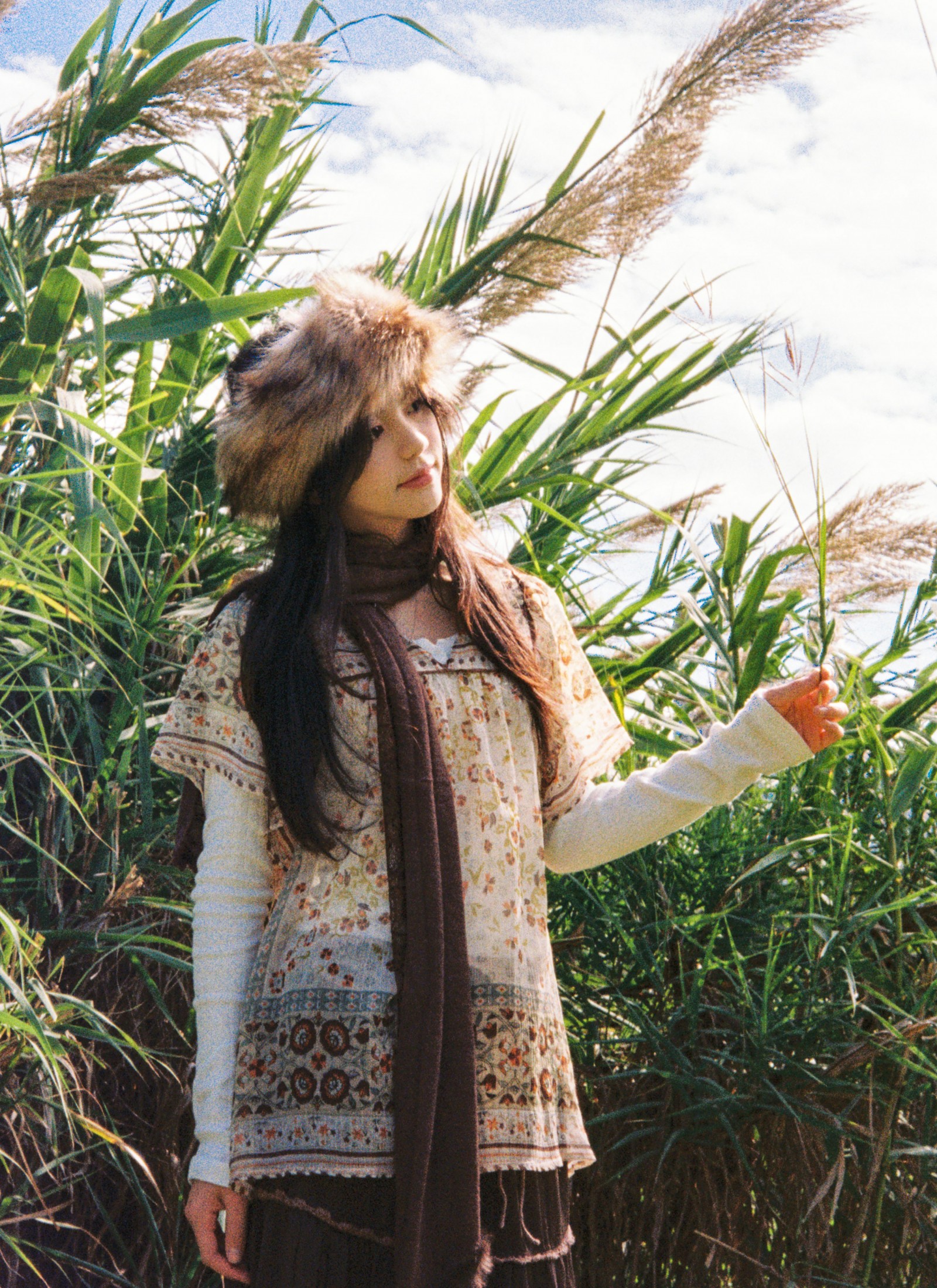 《树是秋日的脉搏》[31P] 插图2