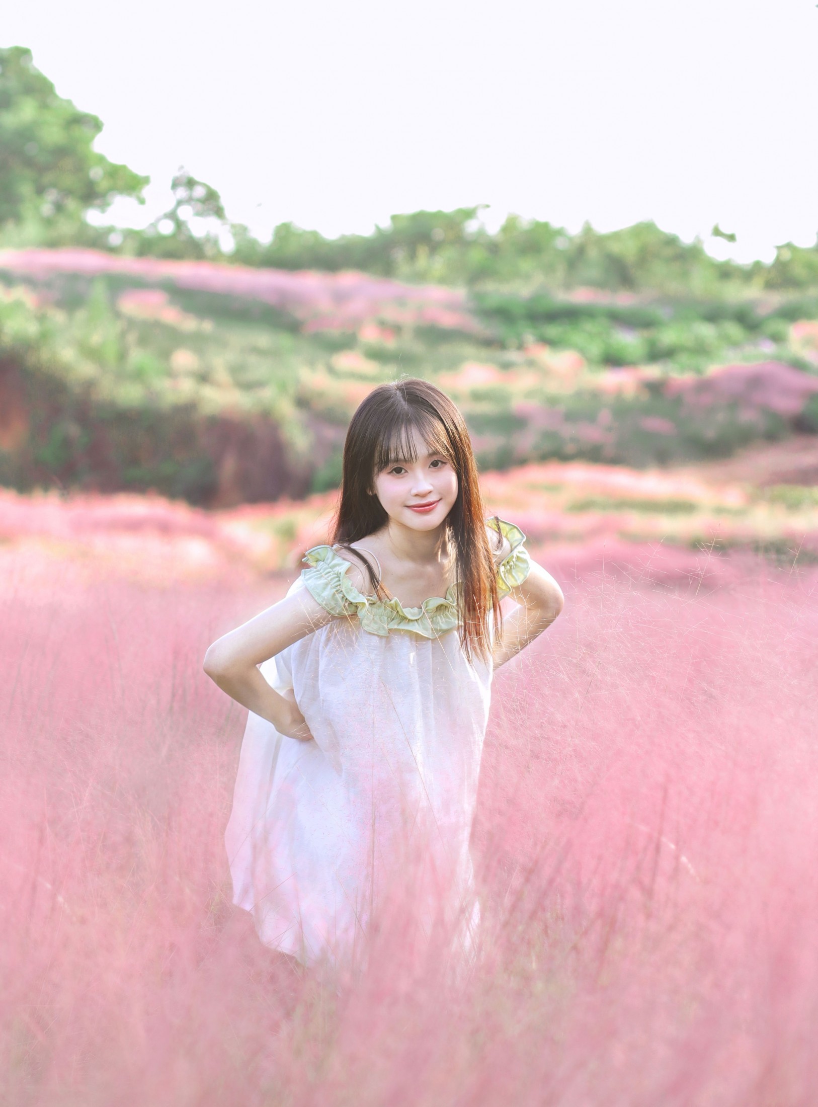 西洋西洋菜 - 《粉色花海》[15P] 插图4