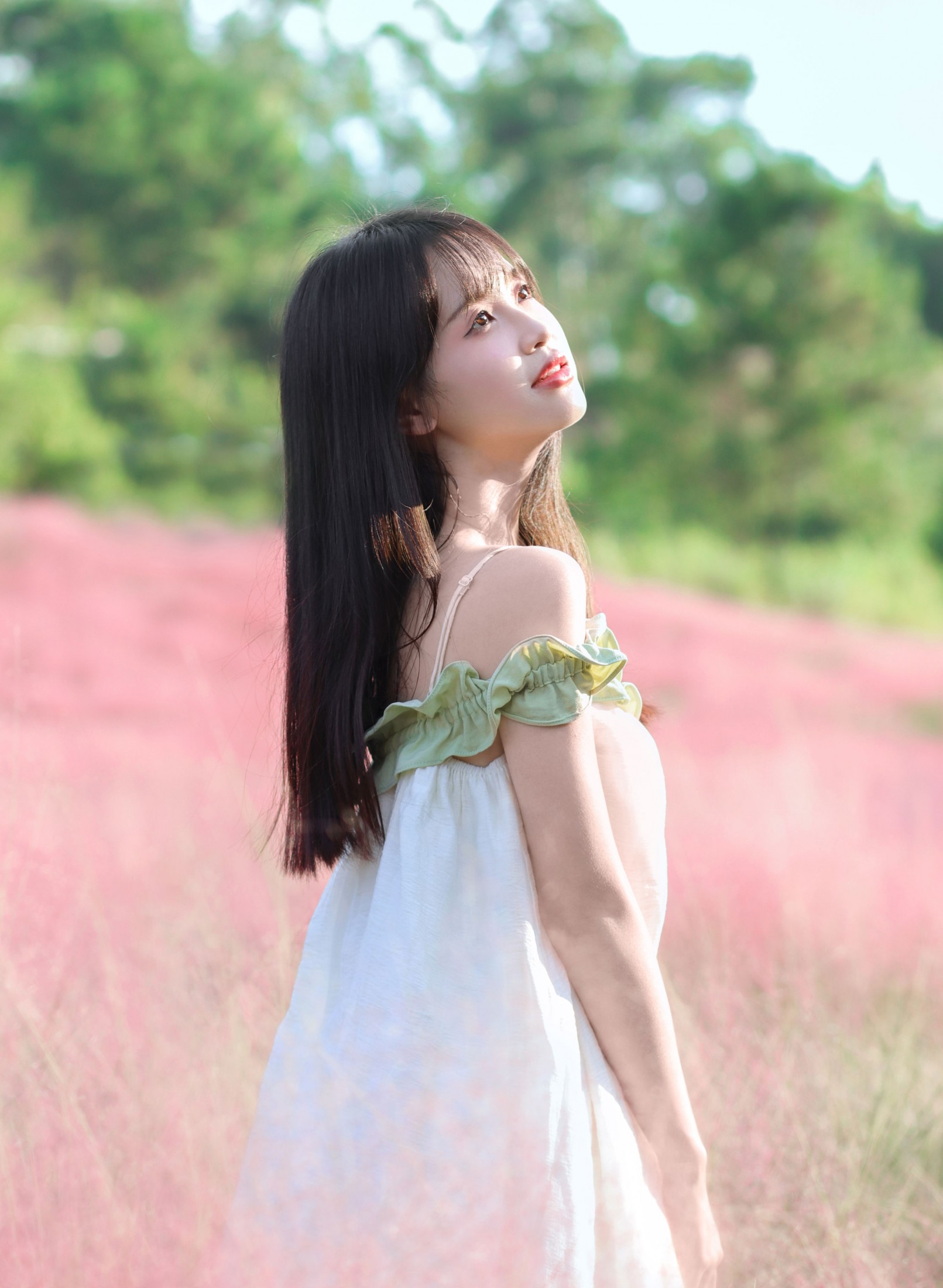 西洋西洋菜 - 《粉色花海》[15P] 插图5