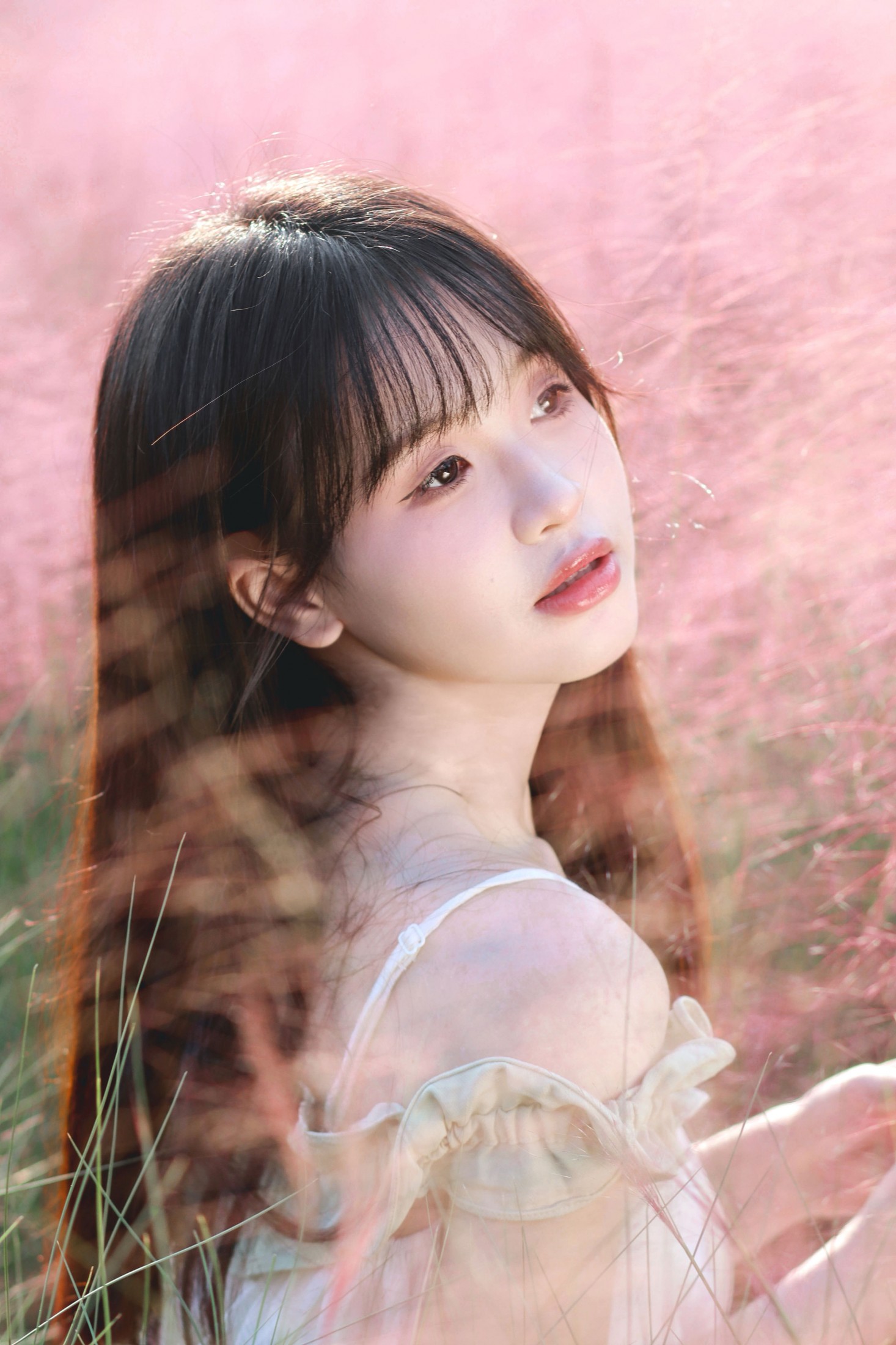 西洋西洋菜 - 《粉色花海》[15P] 插图2