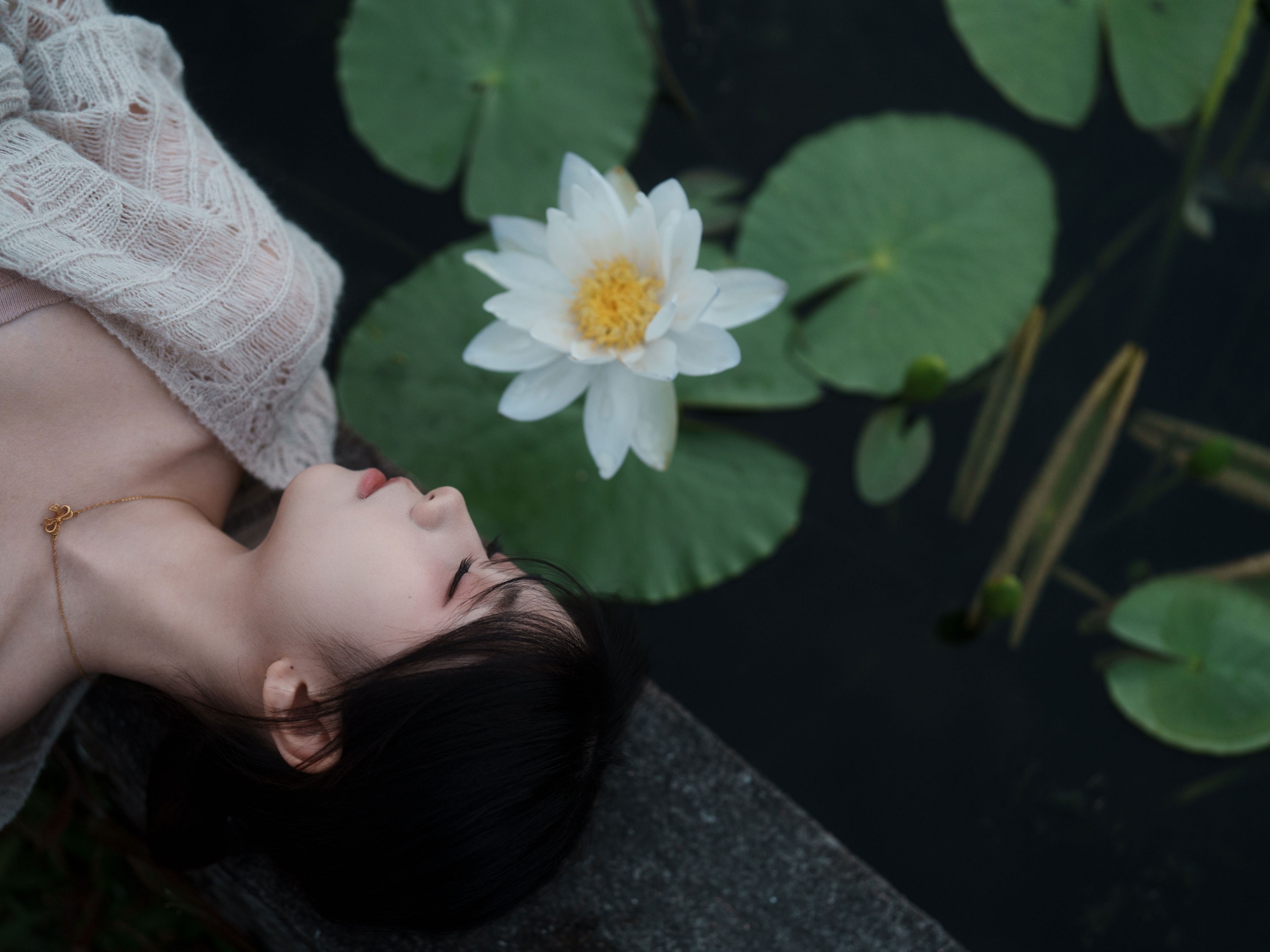 《冬树已红》[33P] 插图5