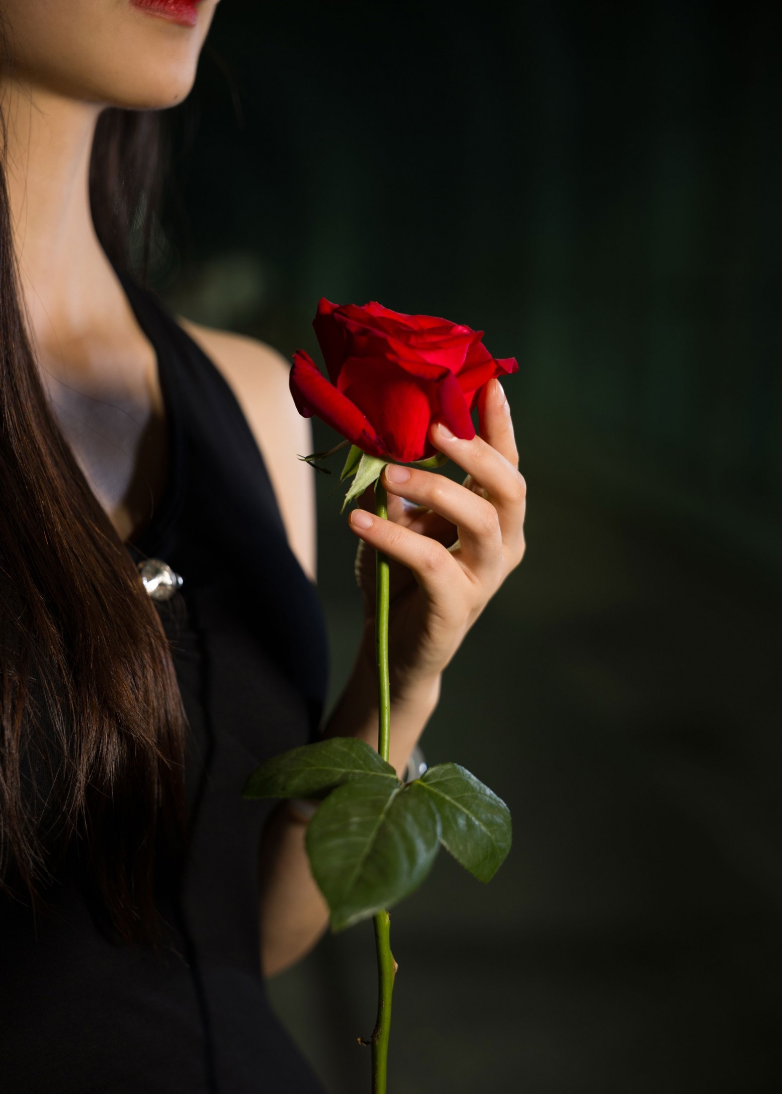 《灿烂热烈，熠熠生辉》[9P] 插图2