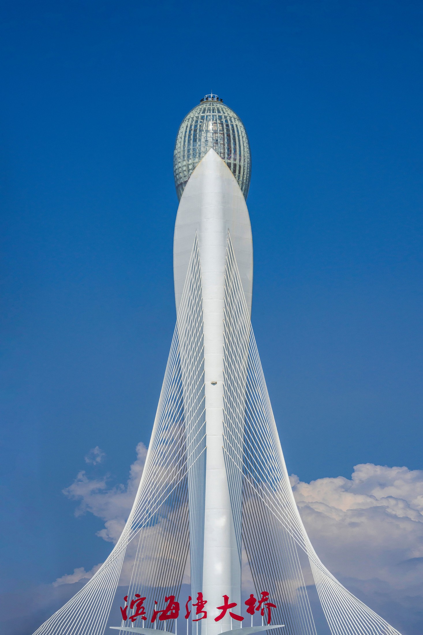 《思路明灯 玉兰花开》[17P]-66COS