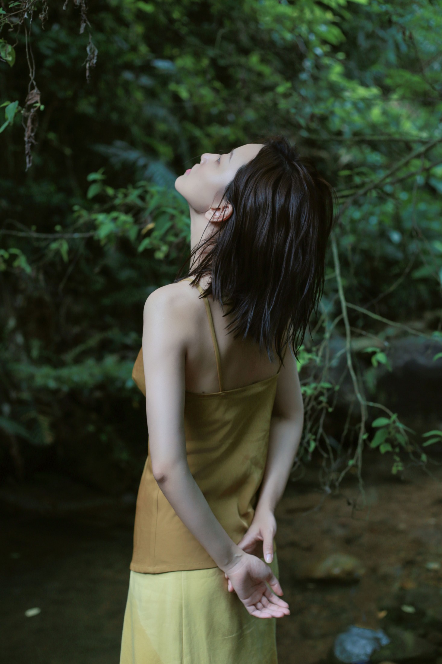 《天竺山的夏》[16P] 插图3