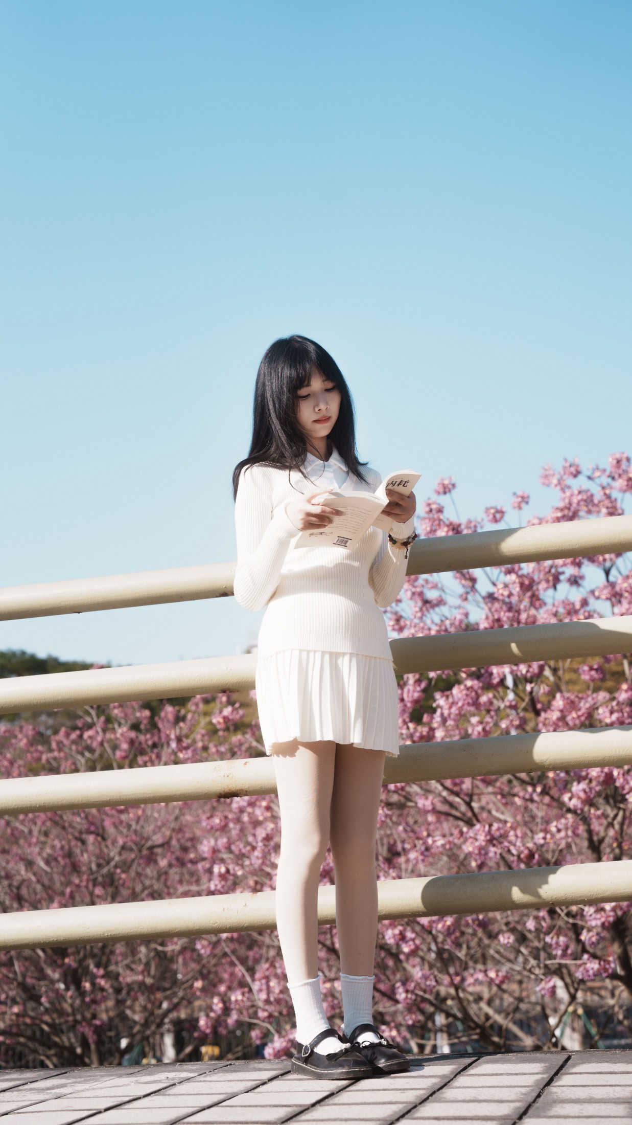 《光有光的来意》[47P] 插图5