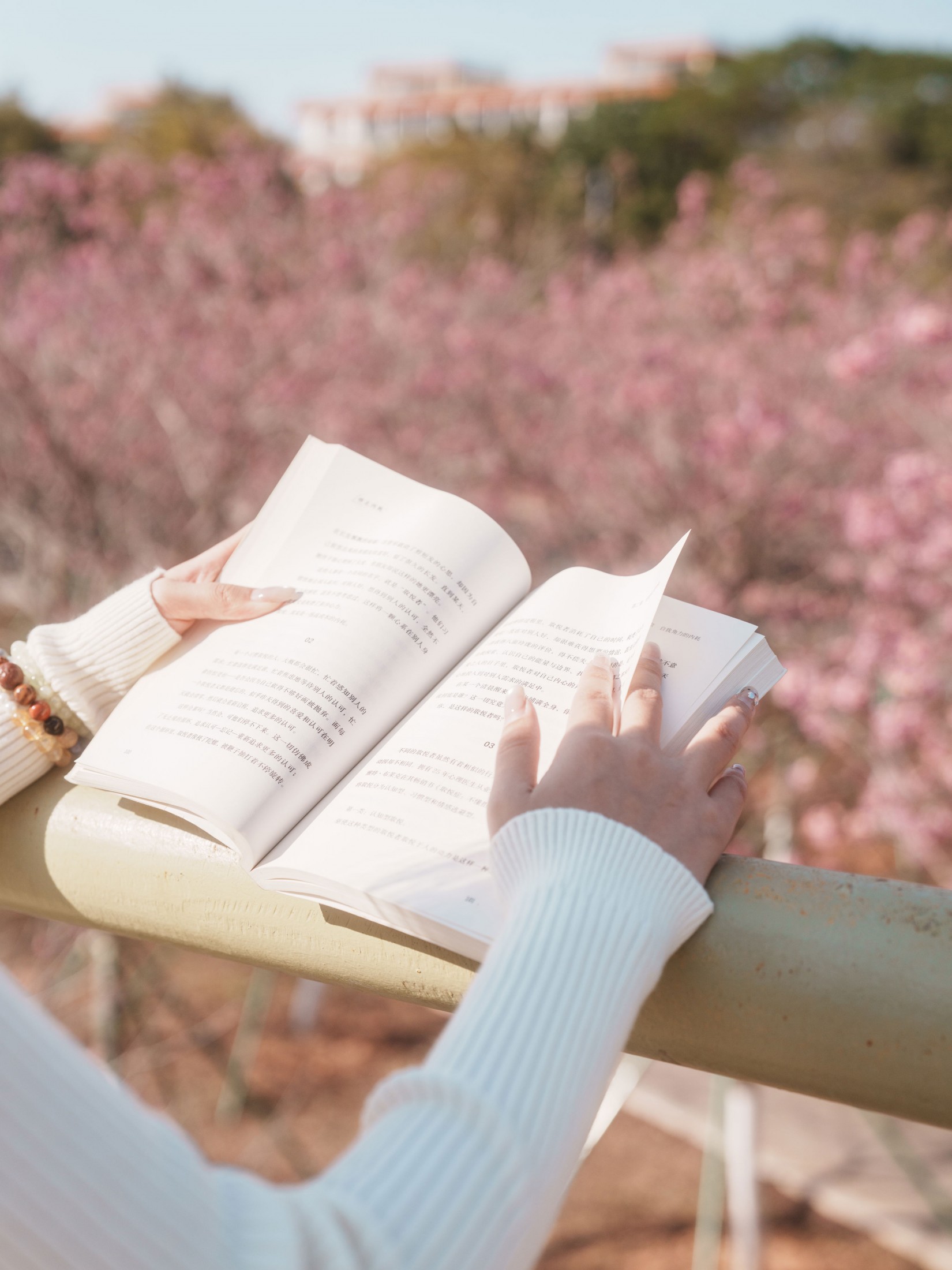 《光有光的来意》[47P]-66COS