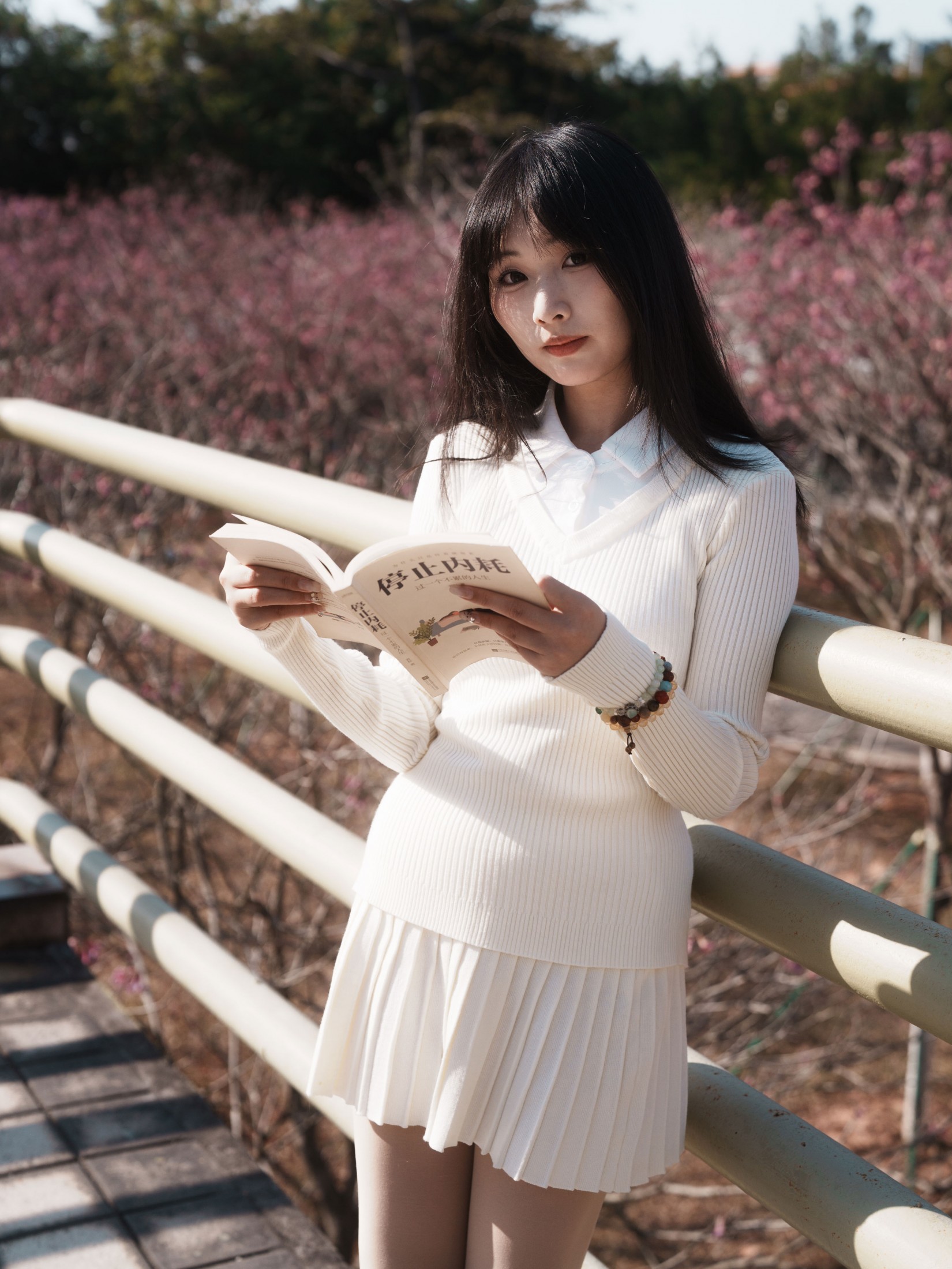 《光有光的来意》[47P] 插图2