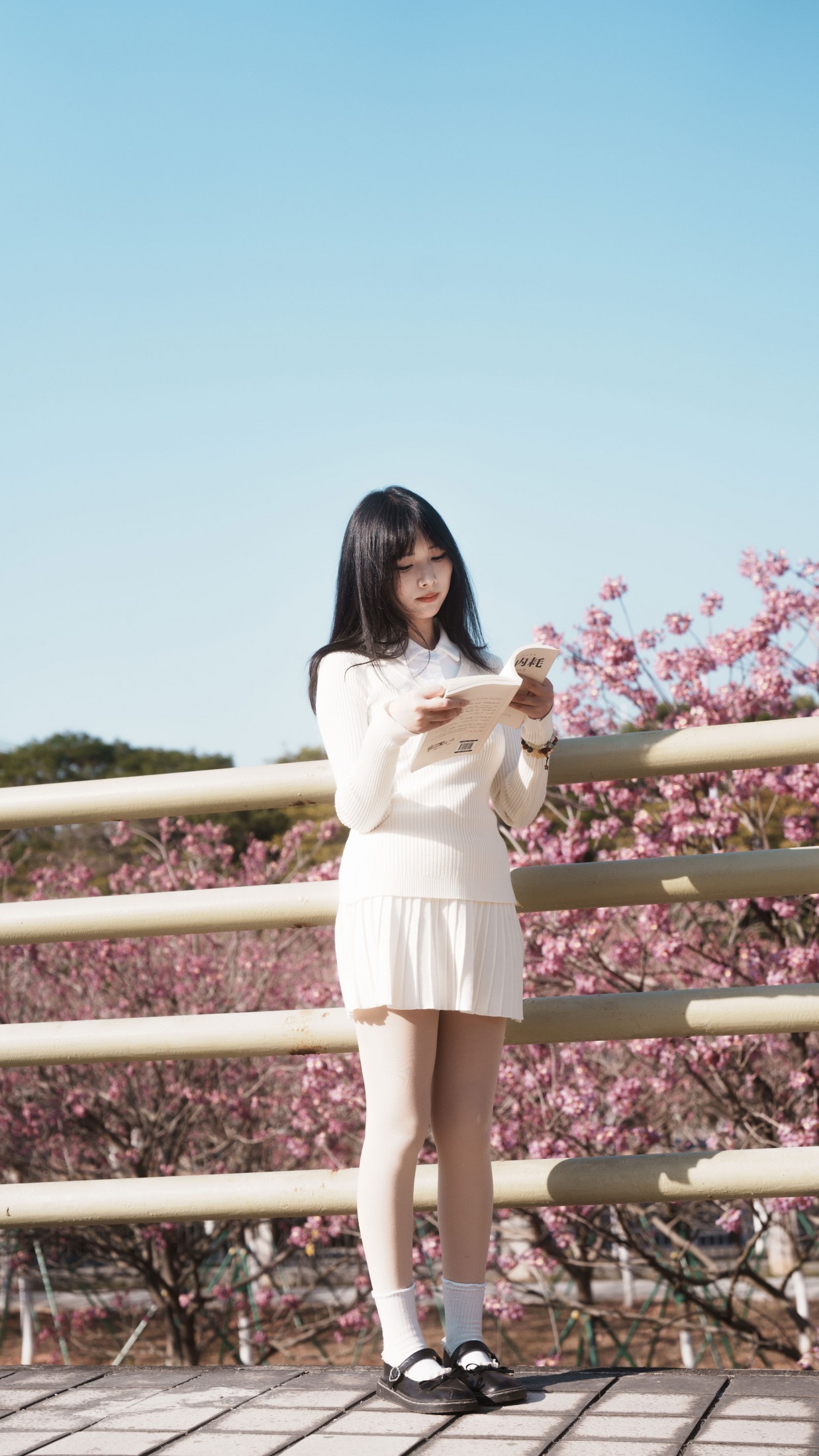 《光有光的来意》[47P] 插图4