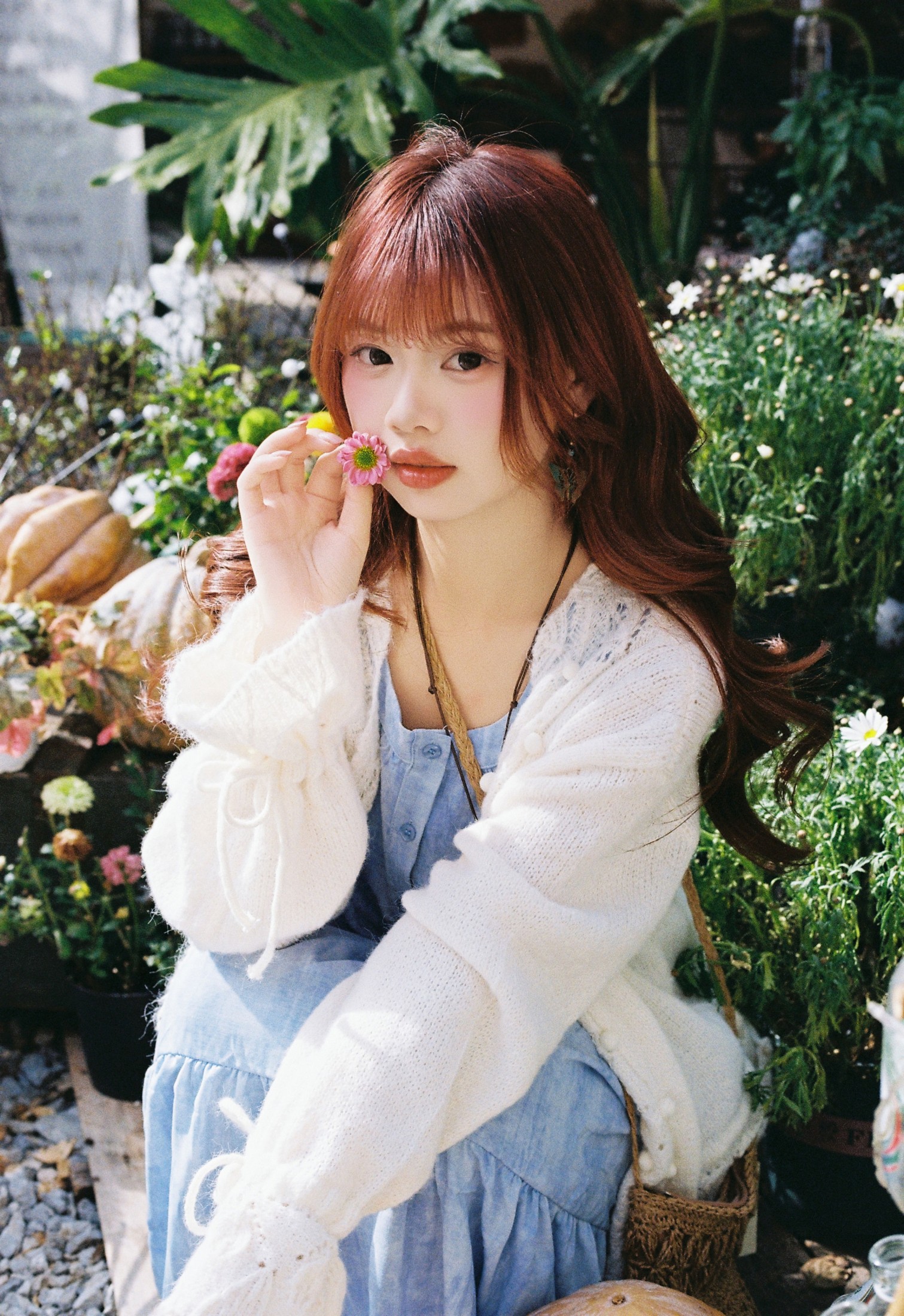 我好圆啊 - 《大理的旅行胶片️》[12P] 插图5