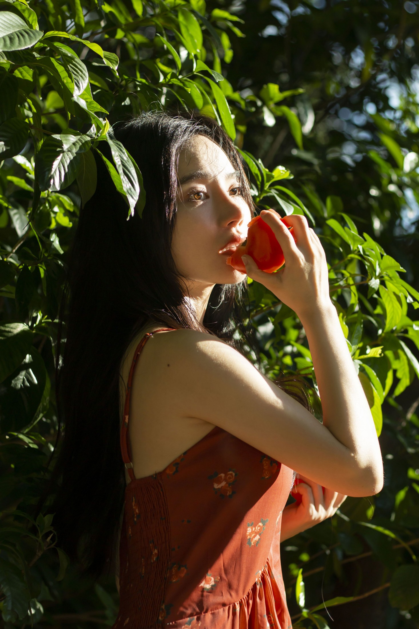 《西红柿味的夏天》[27P] 插图3