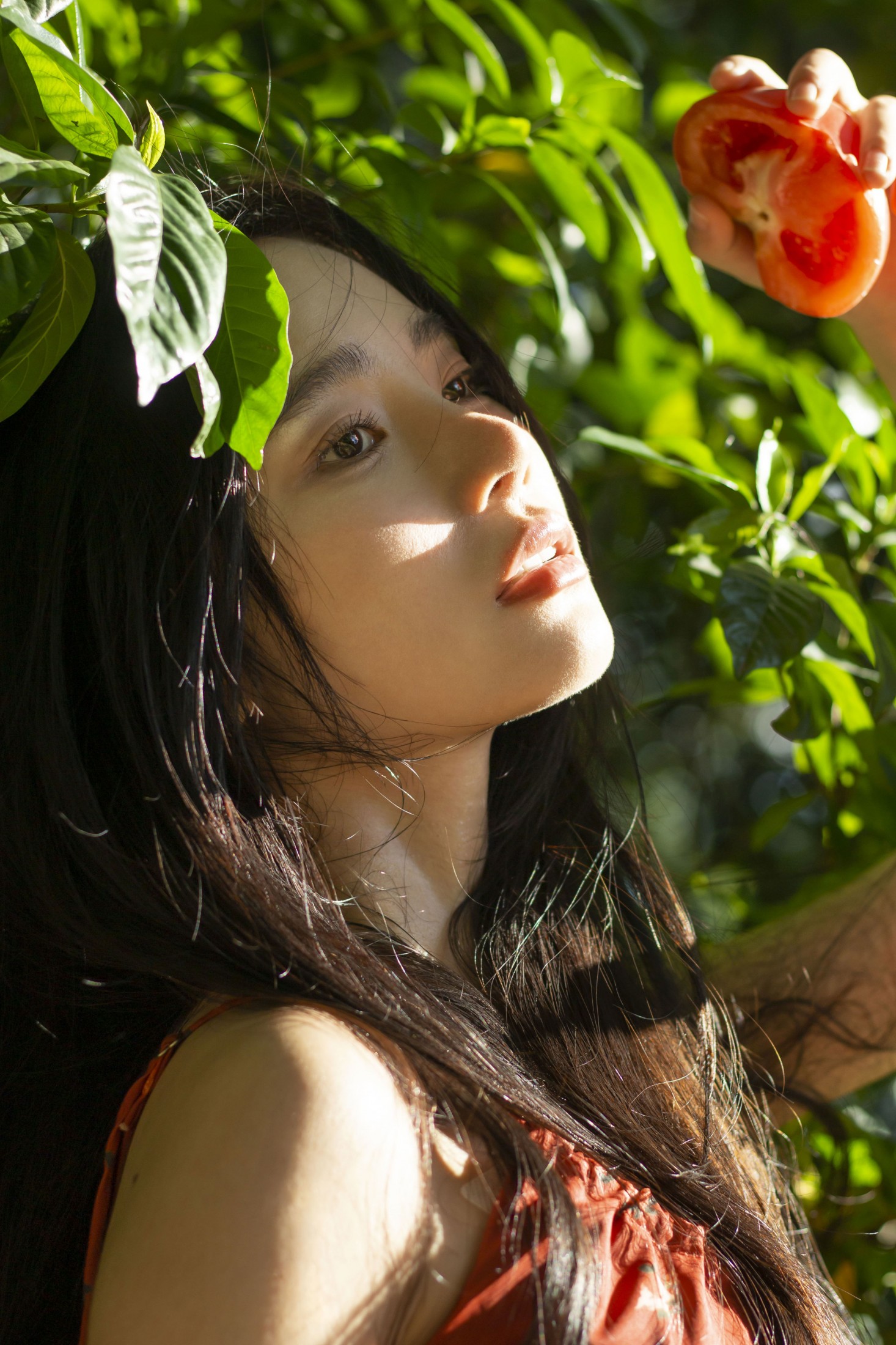 《西红柿味的夏天》[27P]-66COS