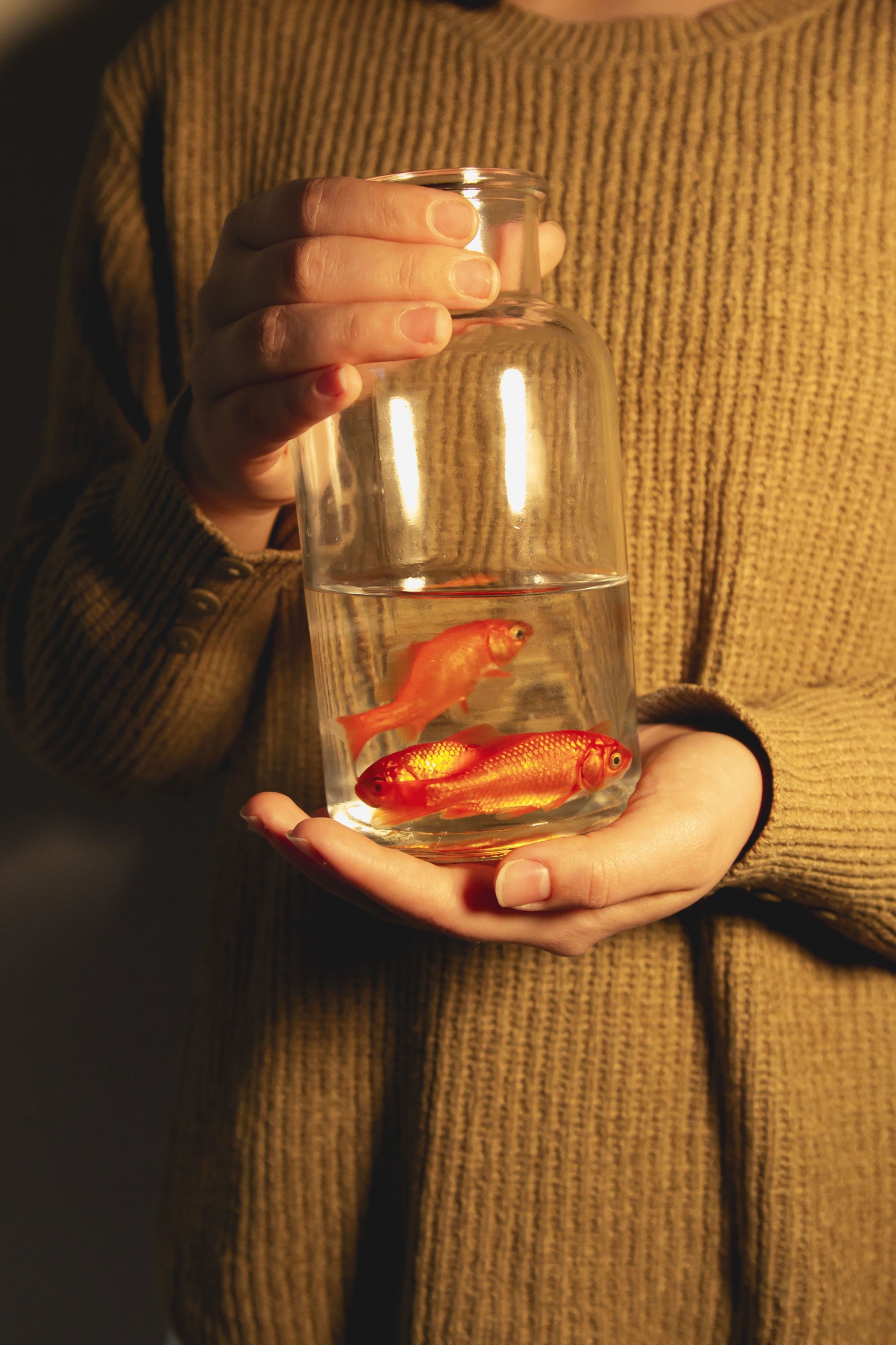 《金鱼》[35P]-66COS