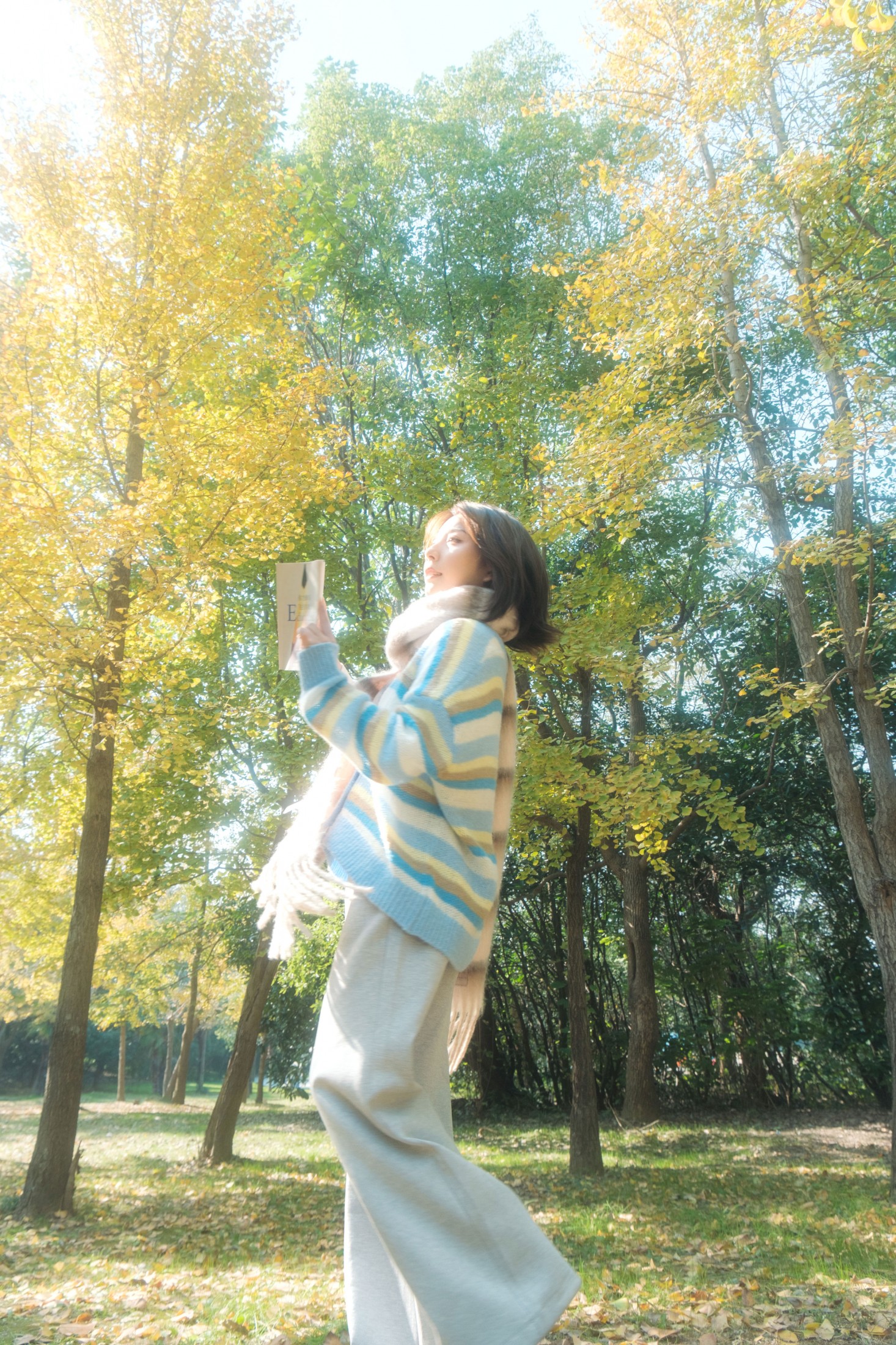 《银杏叶的秋》[31P] 插图2