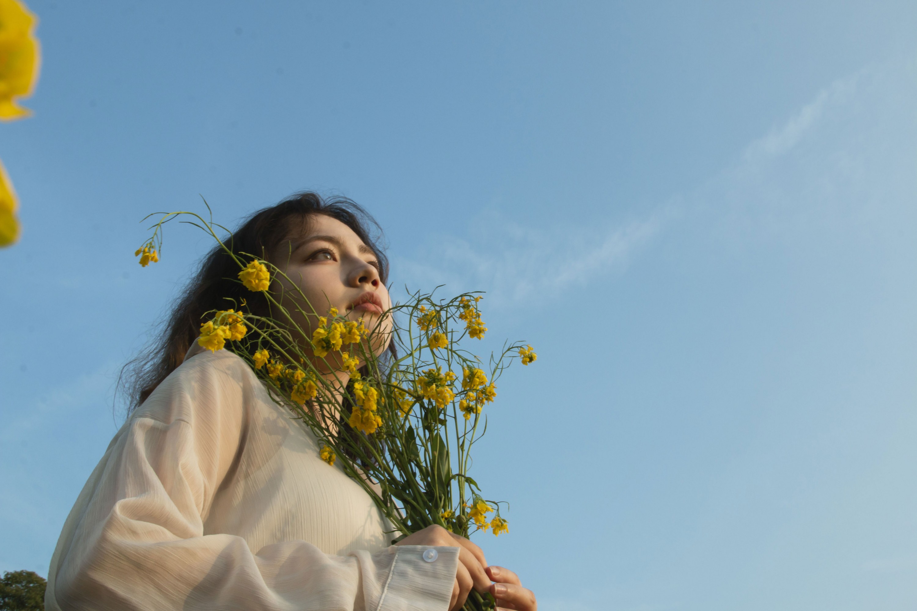 《有一种春天叫油菜花开》[29P] 插图4