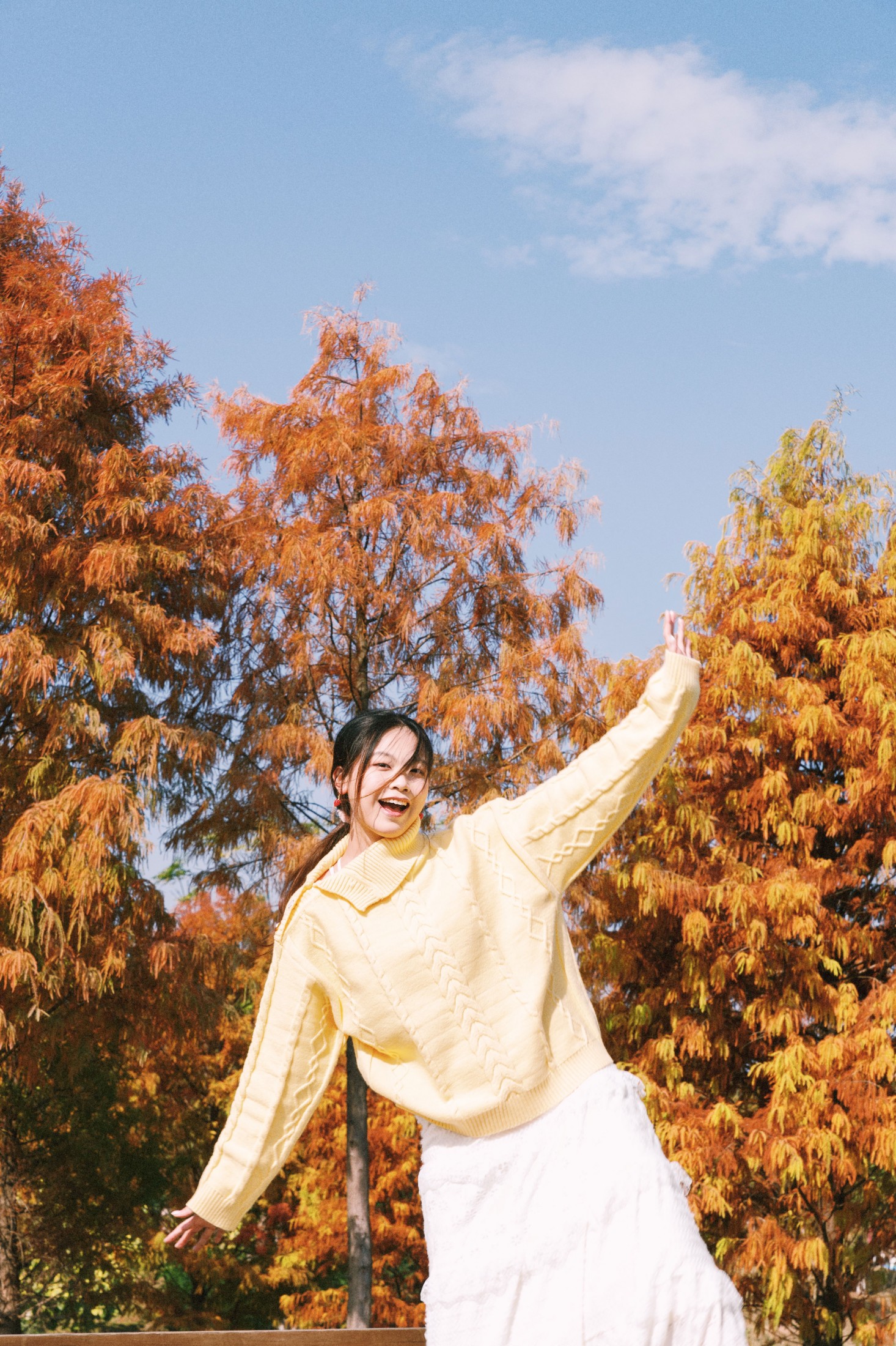 《黄衫与红衫共舞》[23P] 插图2