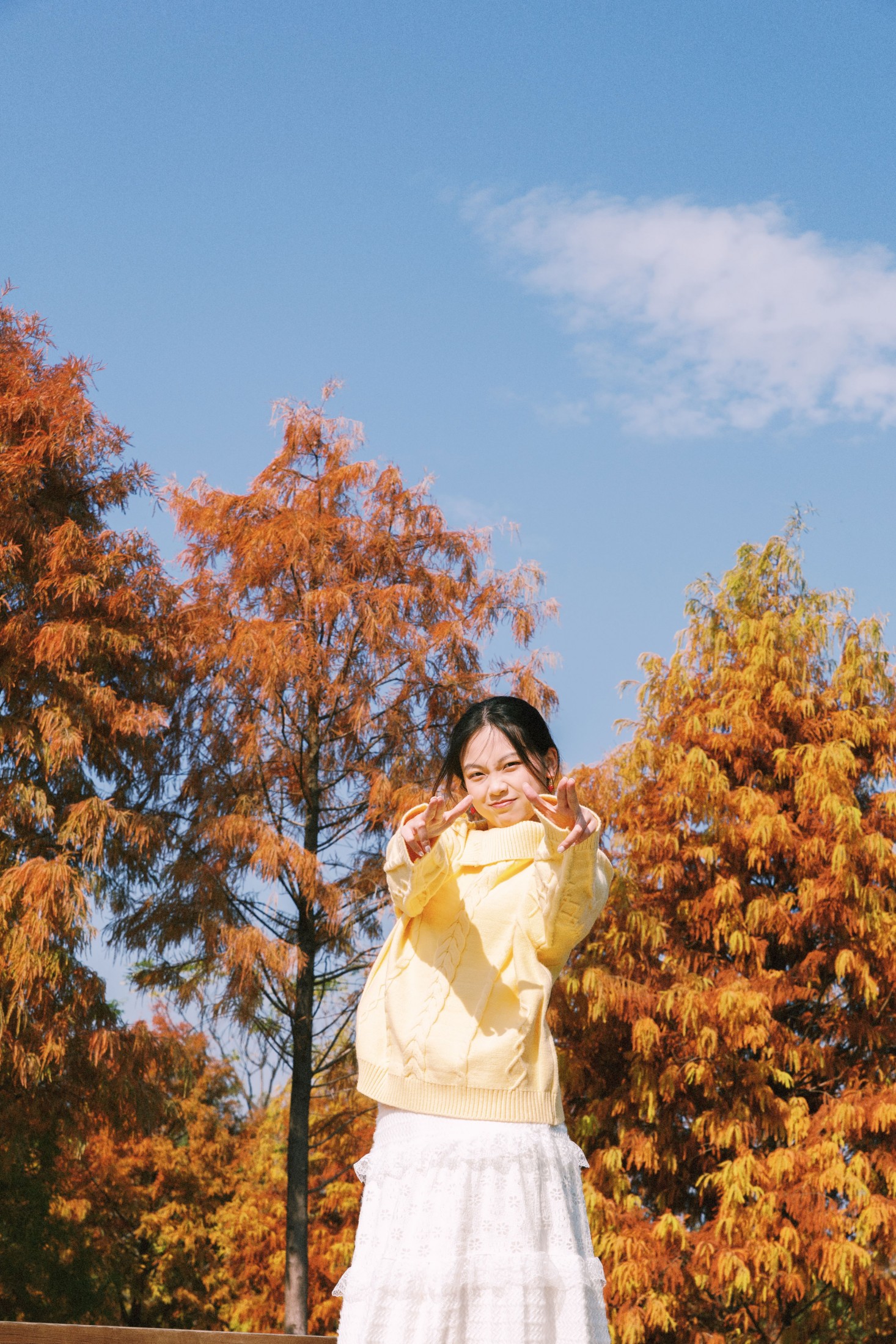 《黄衫与红衫共舞》[23P] 插图4