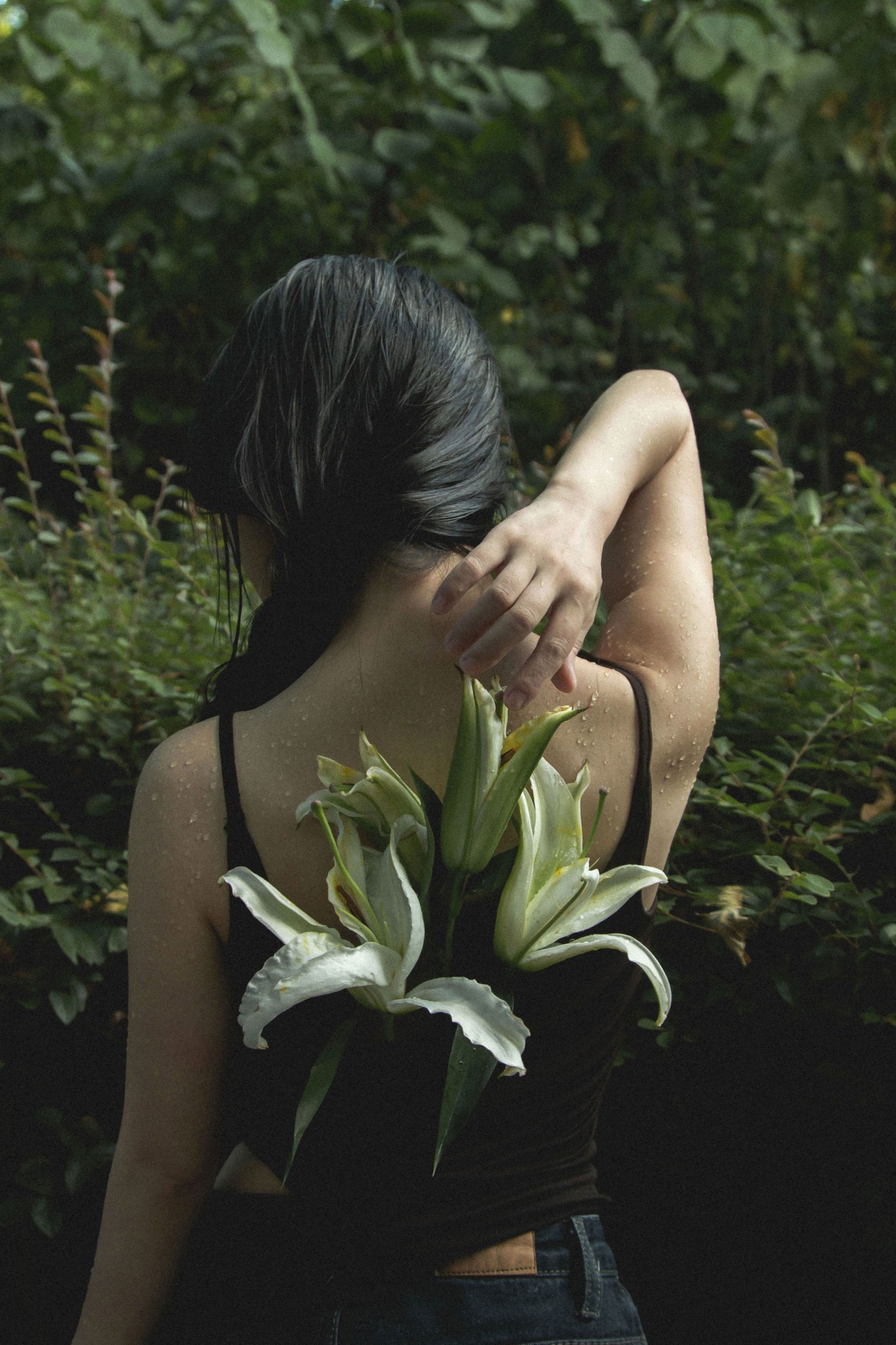 《雨中百合》[33P]-66COS