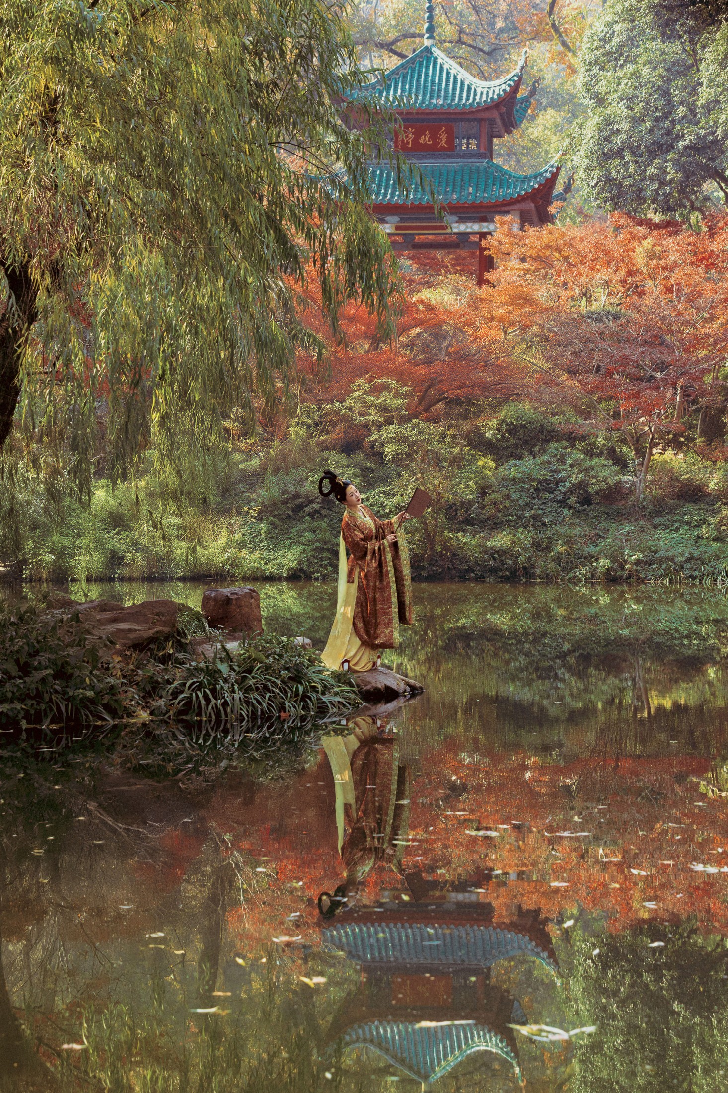 芊苓 - 《秋游爱晚亭》[36P] 插图3