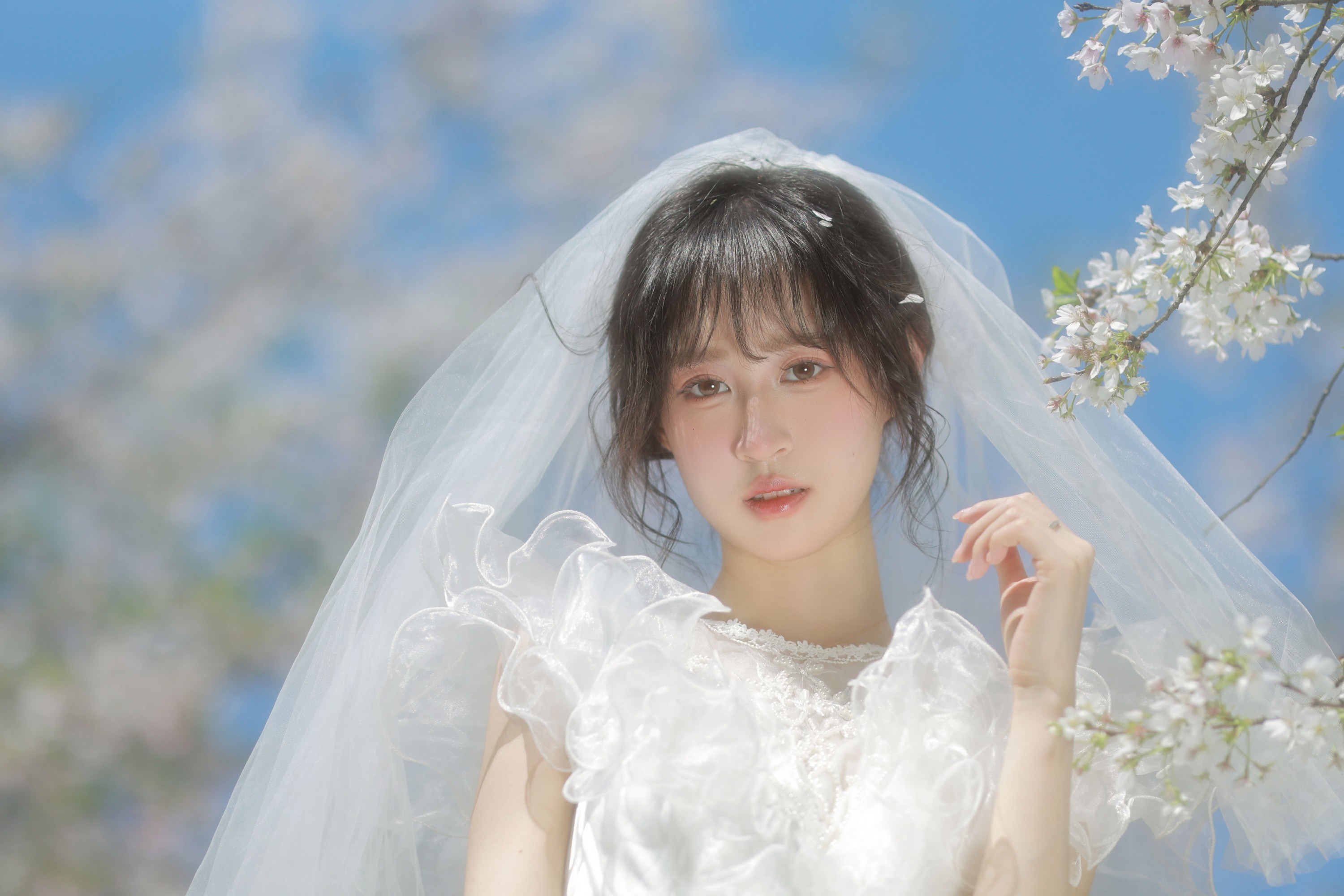 小庞 - 《白樱恋歌》[16P] 插图2