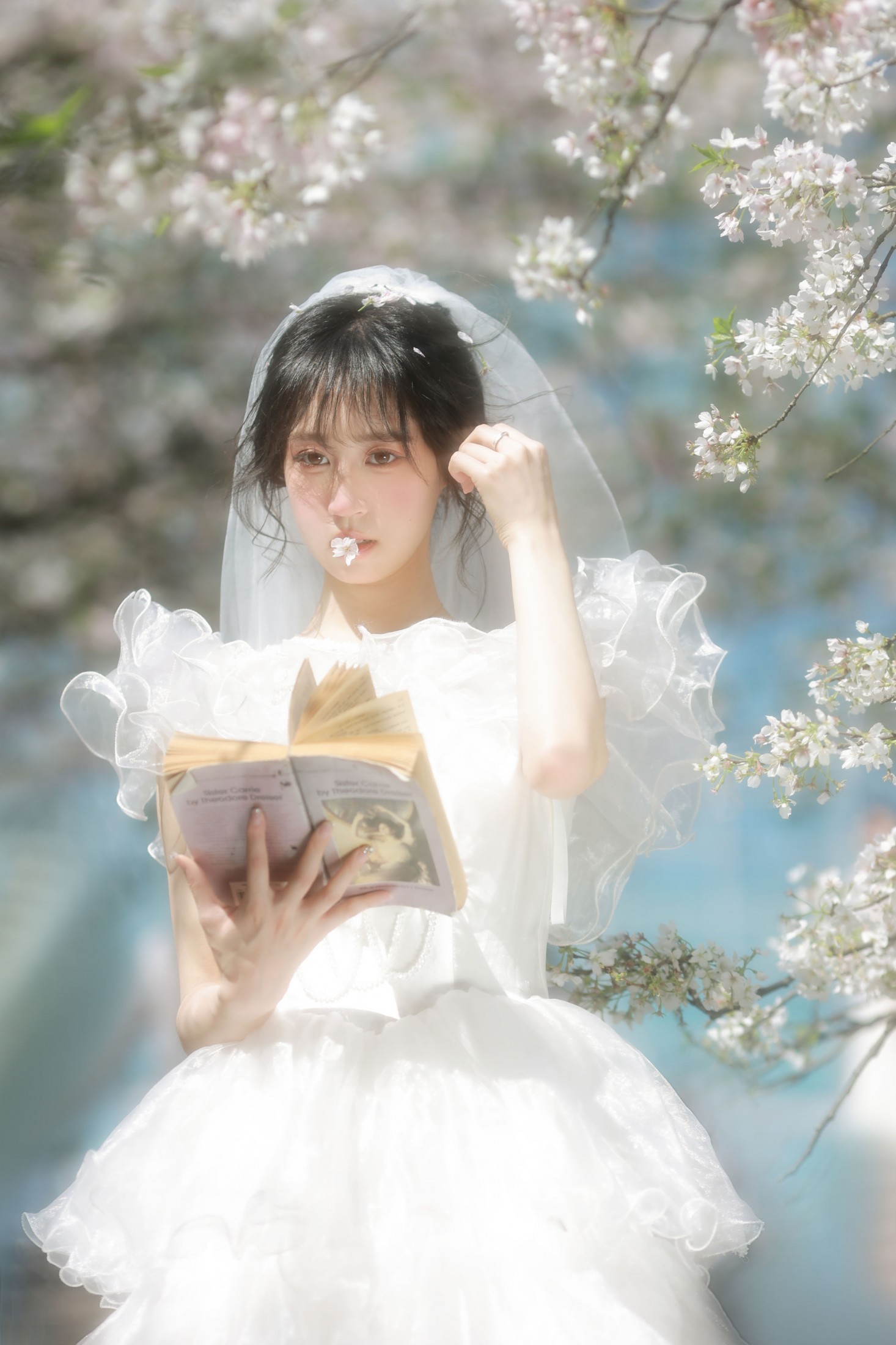 小庞 - 《白樱恋歌》[16P] 插图5