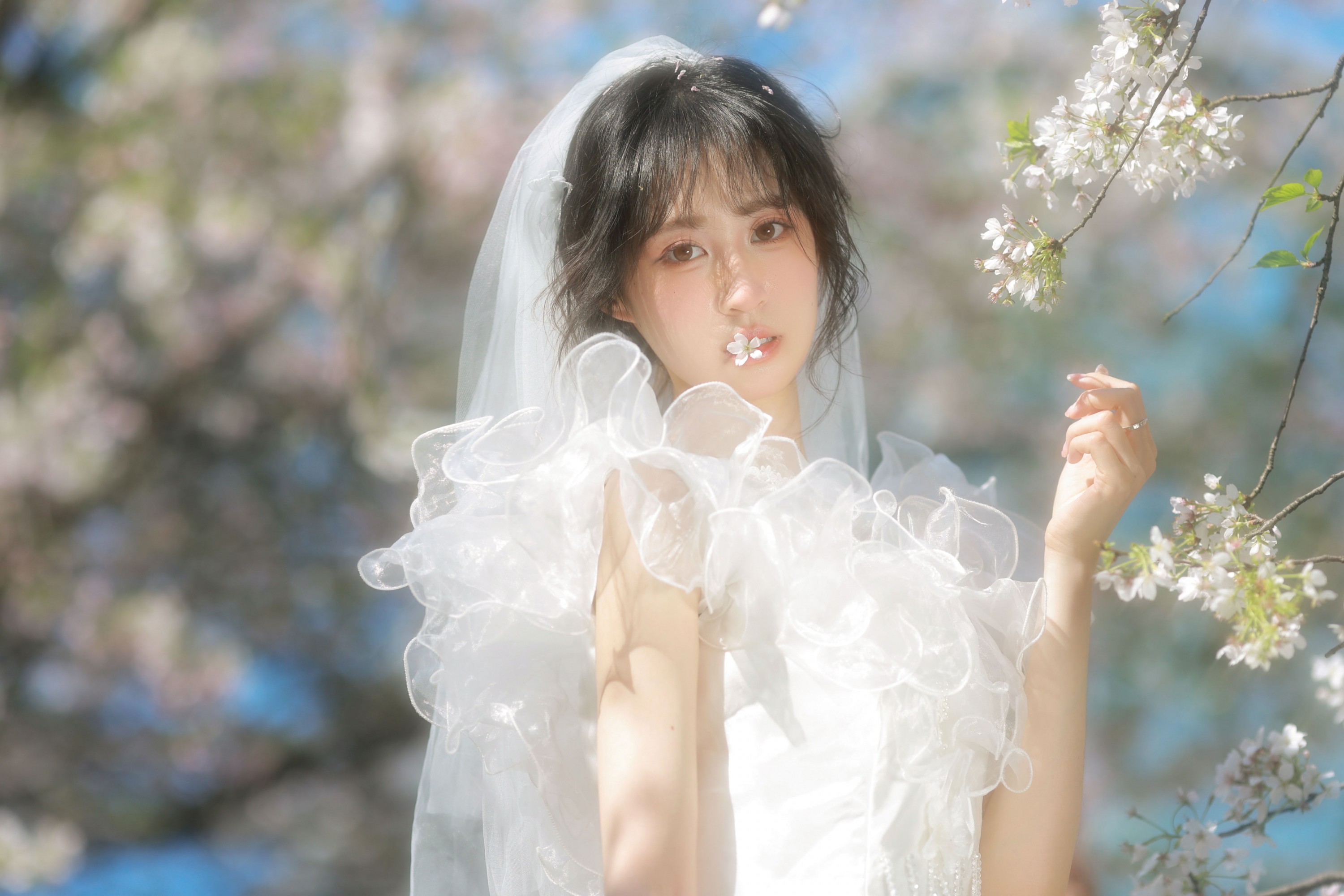 小庞 - 《白樱恋歌》[16P]-66COS