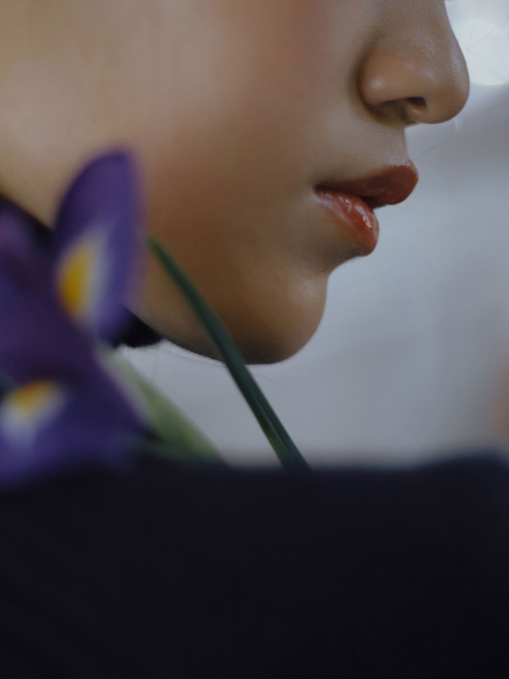 《鸢尾》[24P]-66COS