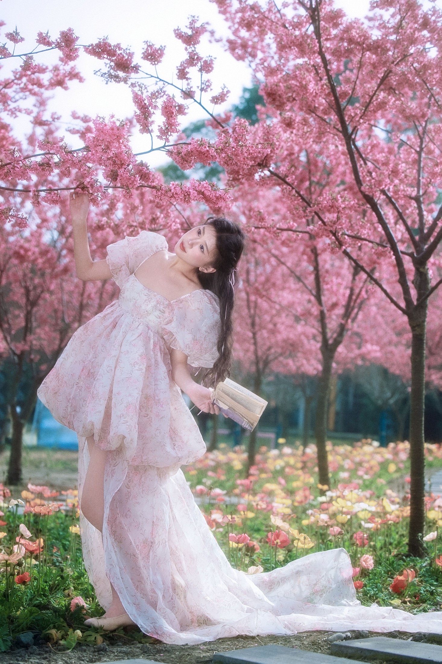 丹丹 - 《樱花树下》[18P] 插图4