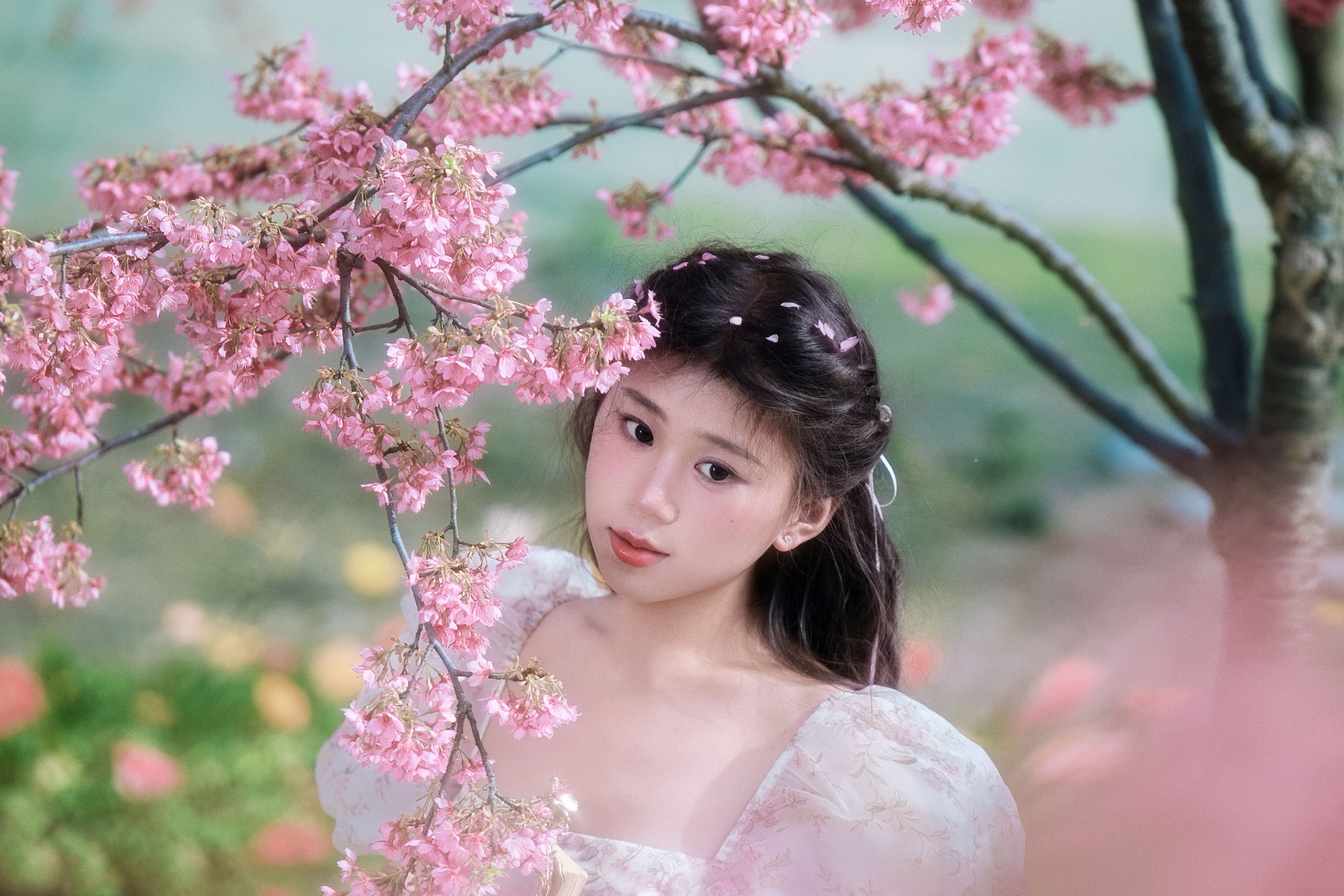 丹丹 - 《樱花树下》[18P]-66COS